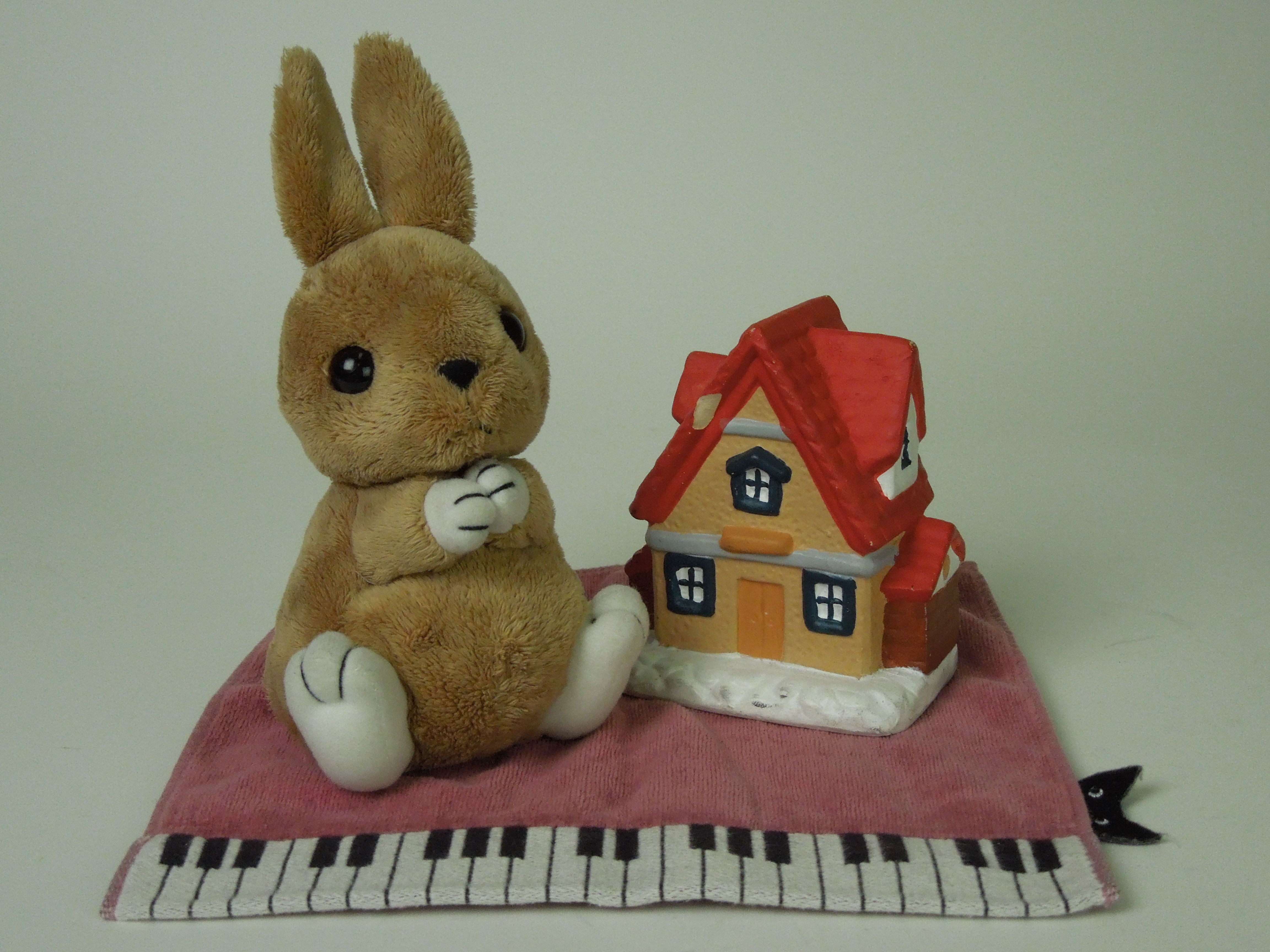 <b>ISO800 / COOLPIX S8200 / 5.2MB / 4,608×3,456 / 1/800秒 / F4 / 0.0EV / WB:オート / 8.7mm</b>