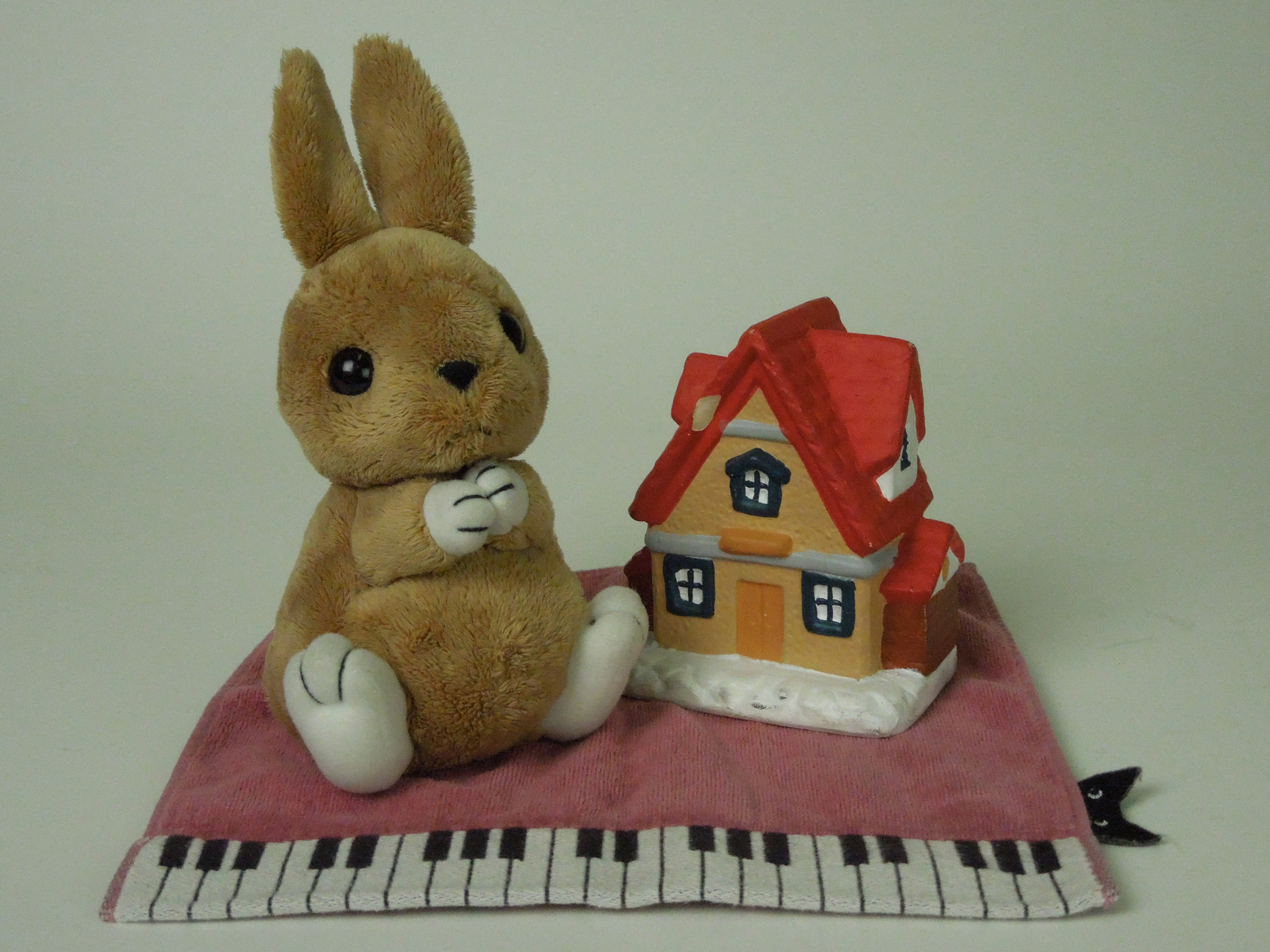 <b>ISO1600 / COOLPIX S8200 / 5.3MB / 4,608×3,456 / 1/1,600秒 / F4 / 0.0EV / WB:オート / 8.7mm</b>