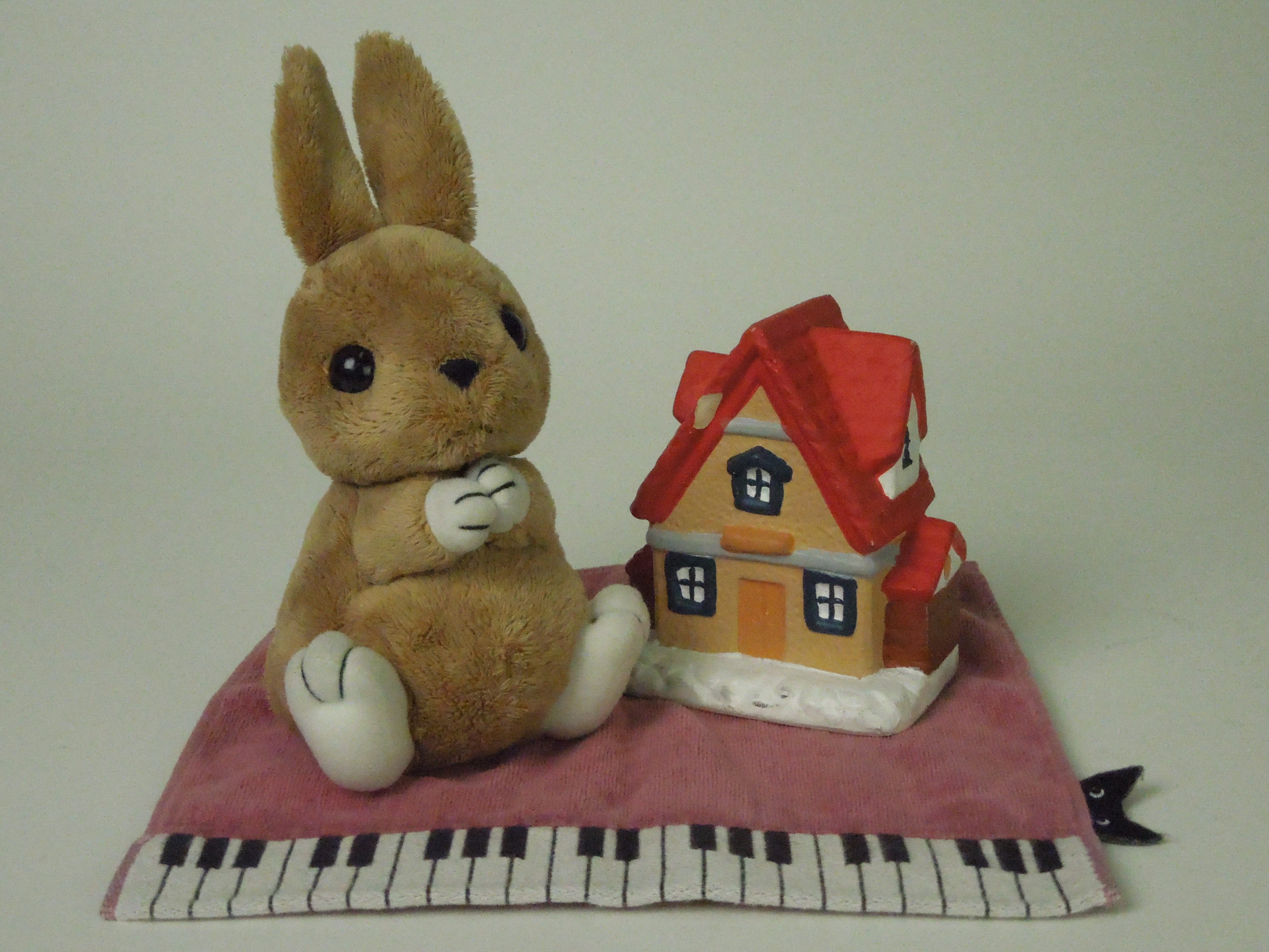 <b>ISO3200 / COOLPIX S8200 / 5.3MB / 4,608×3,456 / 1/800秒 / F8 / 0.0EV / WB:オート / 8.7mm</b>