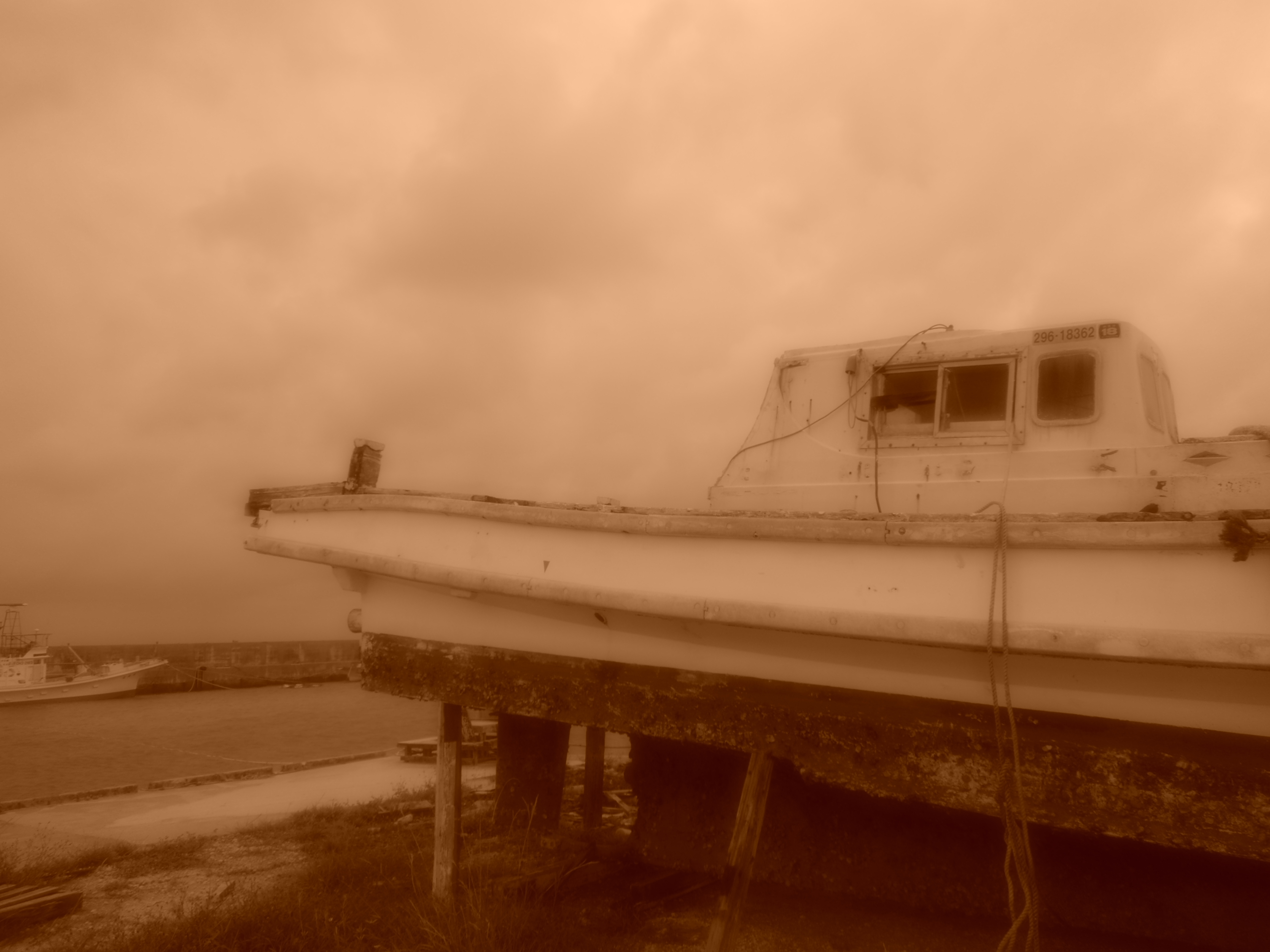 <b>スペシャルエフェクト:セピア / COOLPIX S8200 / 3.7MB / 4,608×3,456 / 1/500秒 / F3.3 / 0.0EV / ISO100 / WB:オート / 4.5mm</b>