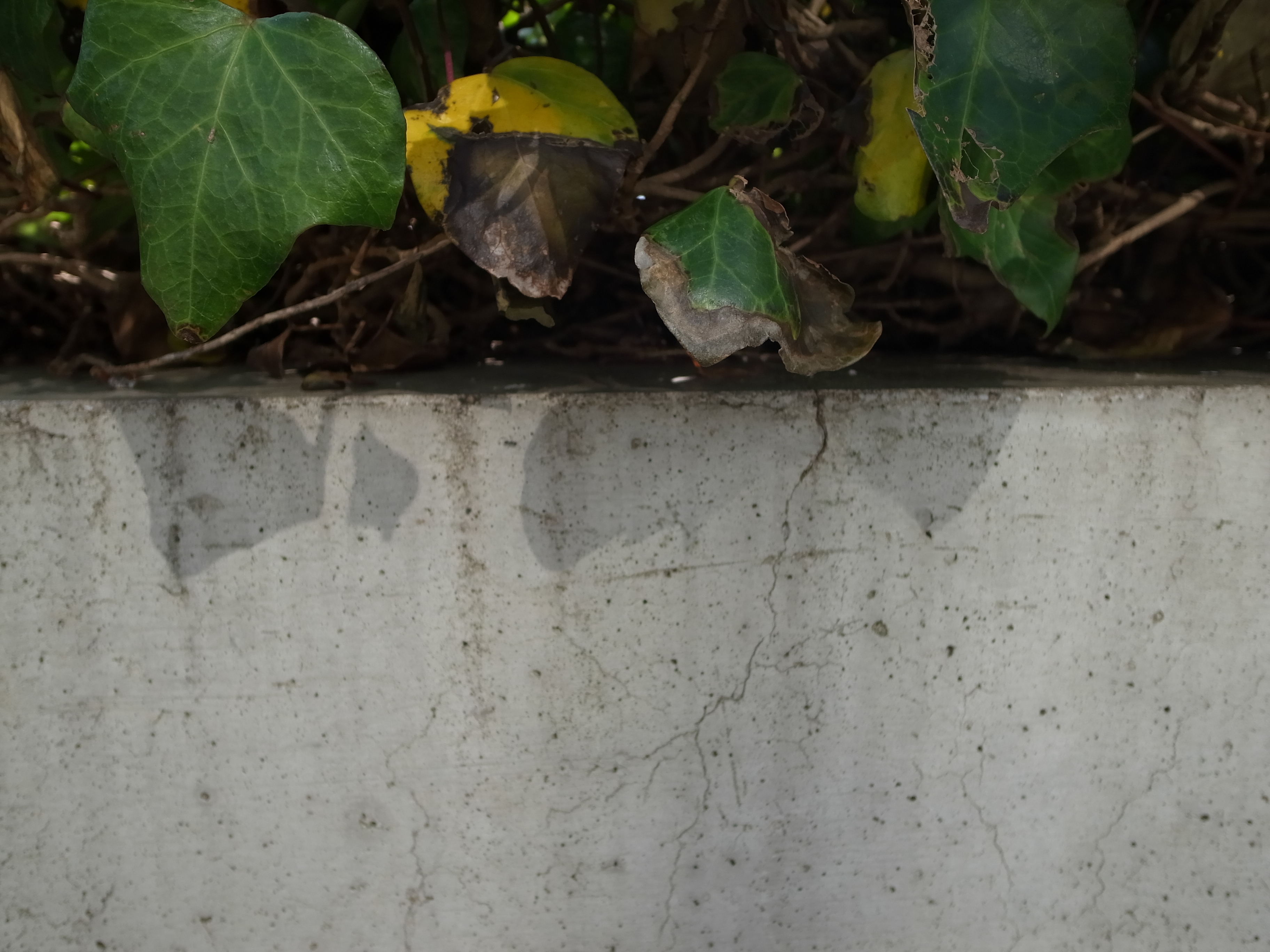 <b>合成前（3）</b>