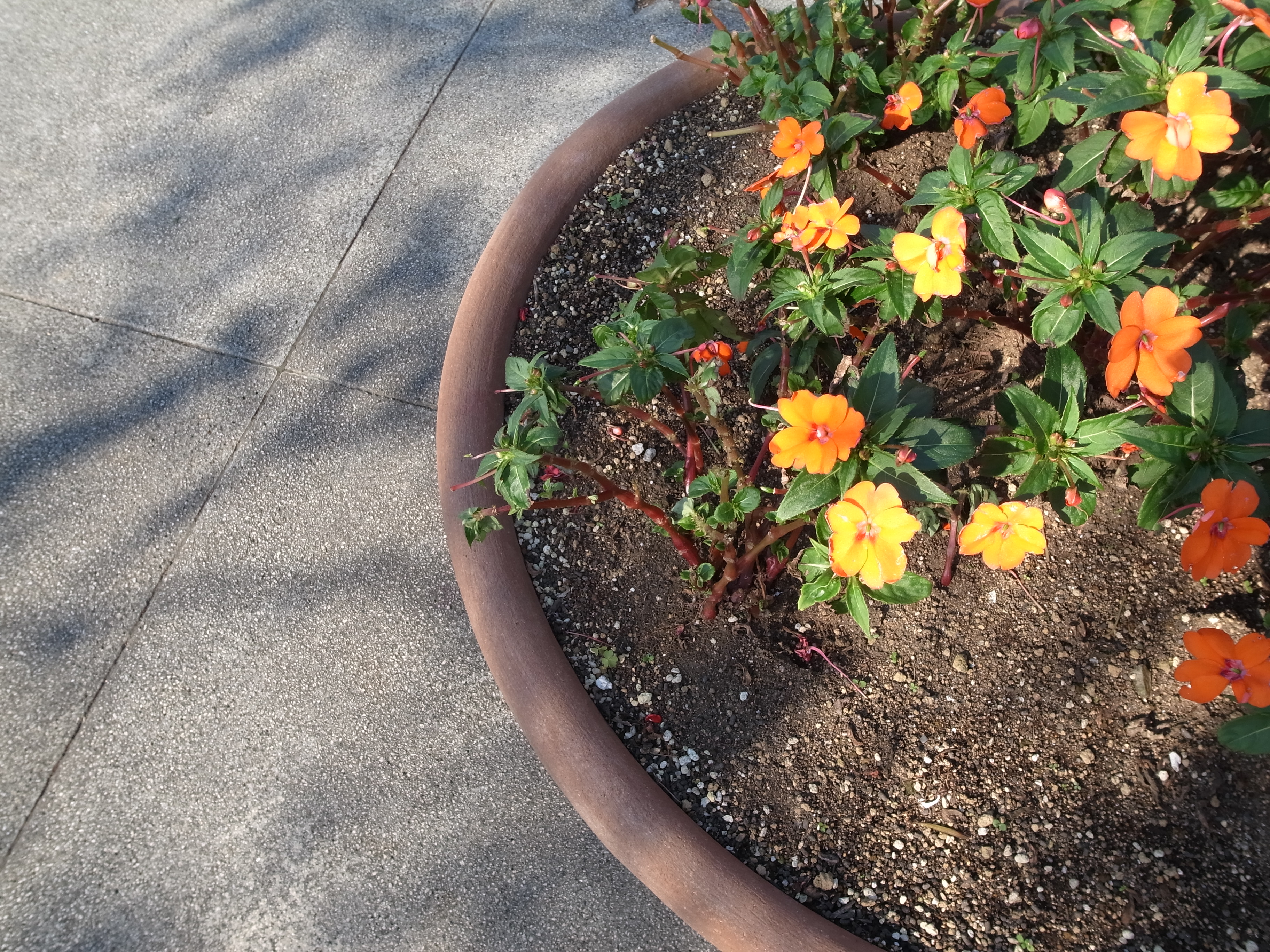 <b>合成前（2）</b>