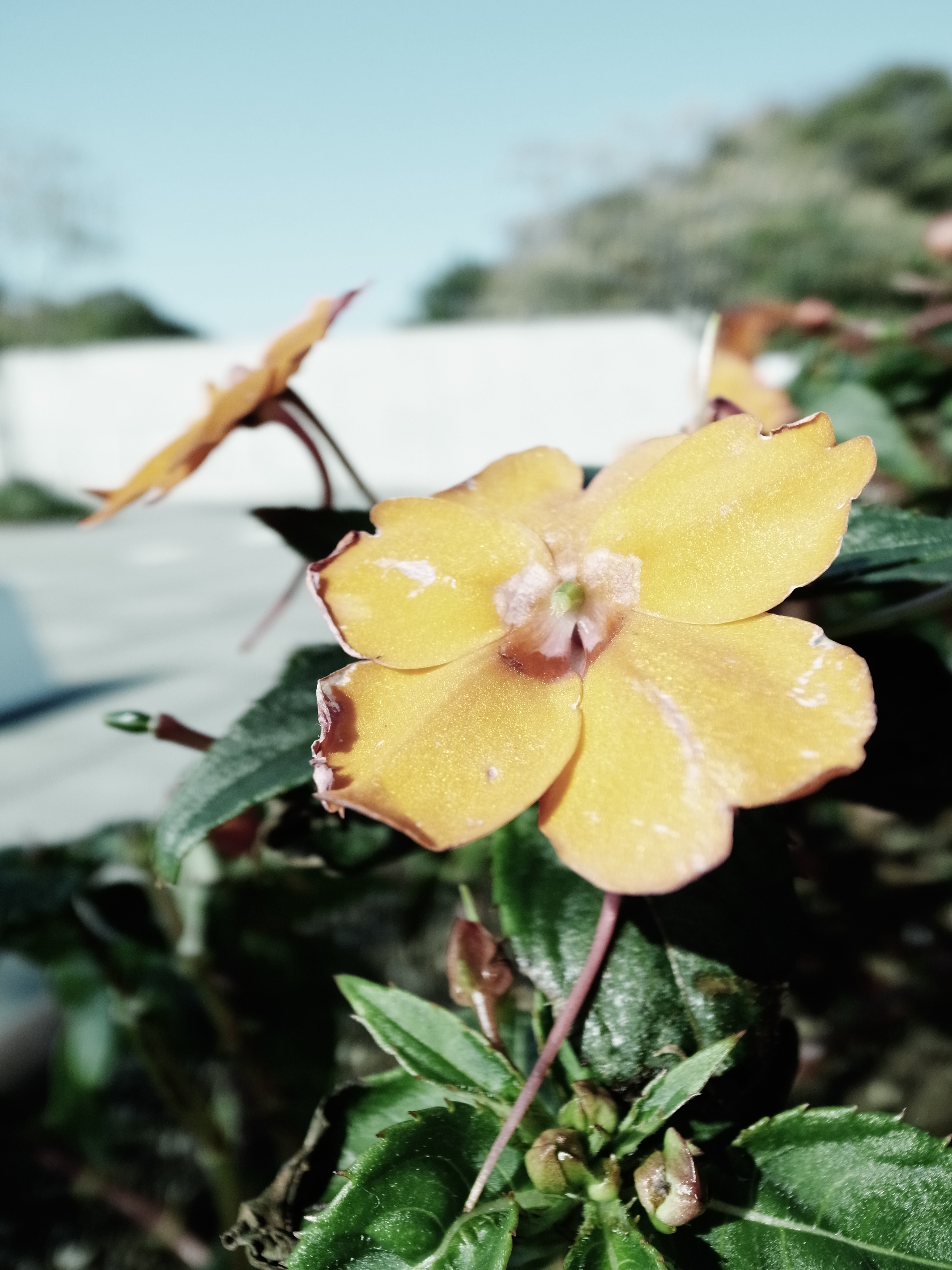 <b>ブリーチバイパス / GR DIGITAL IV / 3,648×2,736 / 1/2000秒 / f2.5 / 0EV / ISO80 / WB:オート</b>