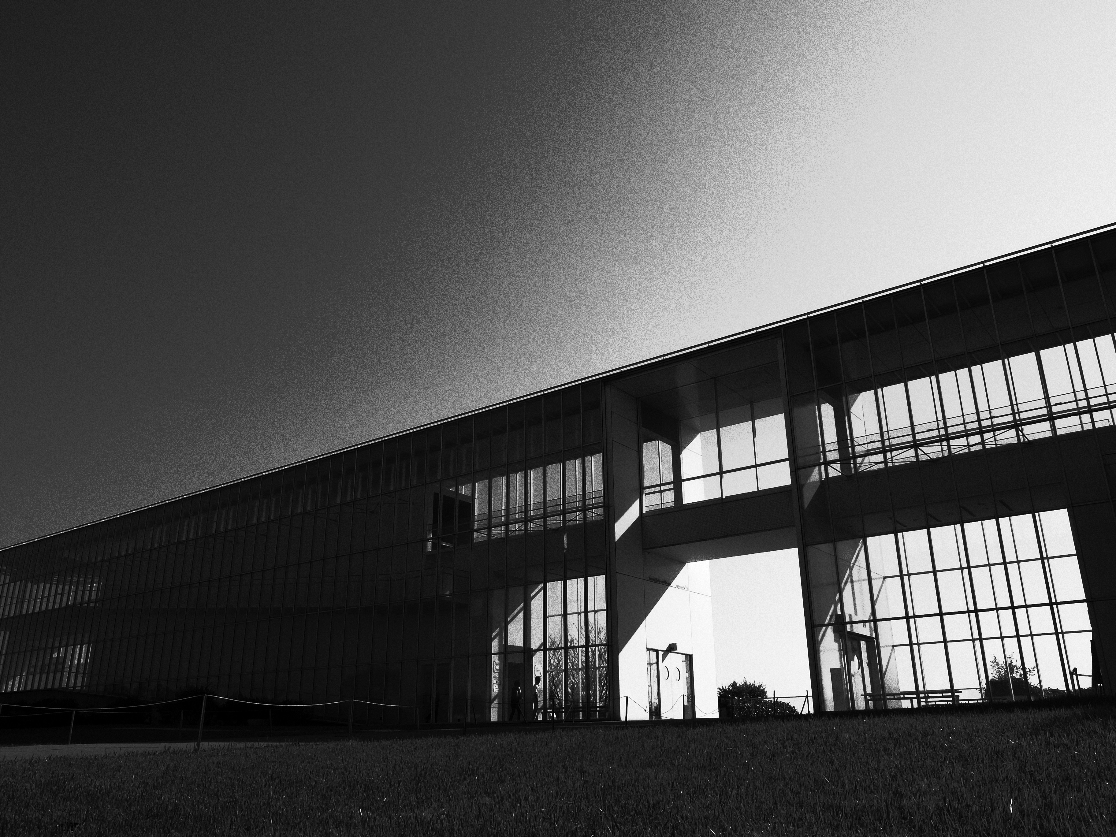 <b>ハイコントラスト白黒 / GR DIGITAL IV / 3,648×2,736 / 1/500秒 / F7.1 / 0EV / ISO80 / WB:オート</b>