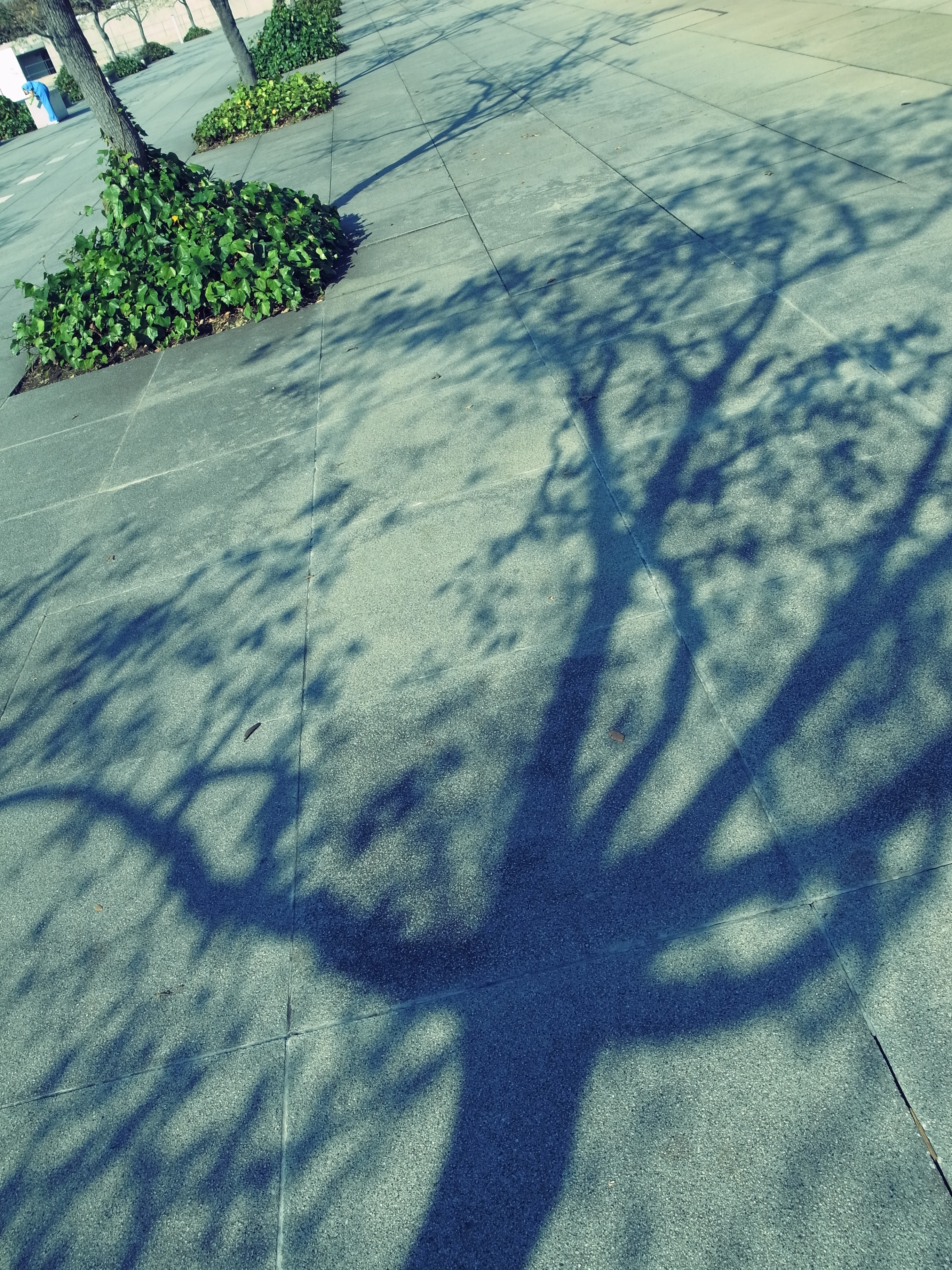 <b>クロスプロセス / GR DIGITAL IV / 3,648×2,736 / 1/380秒 / F5.6 / 0EV / ISO80 / WB:オート</b>