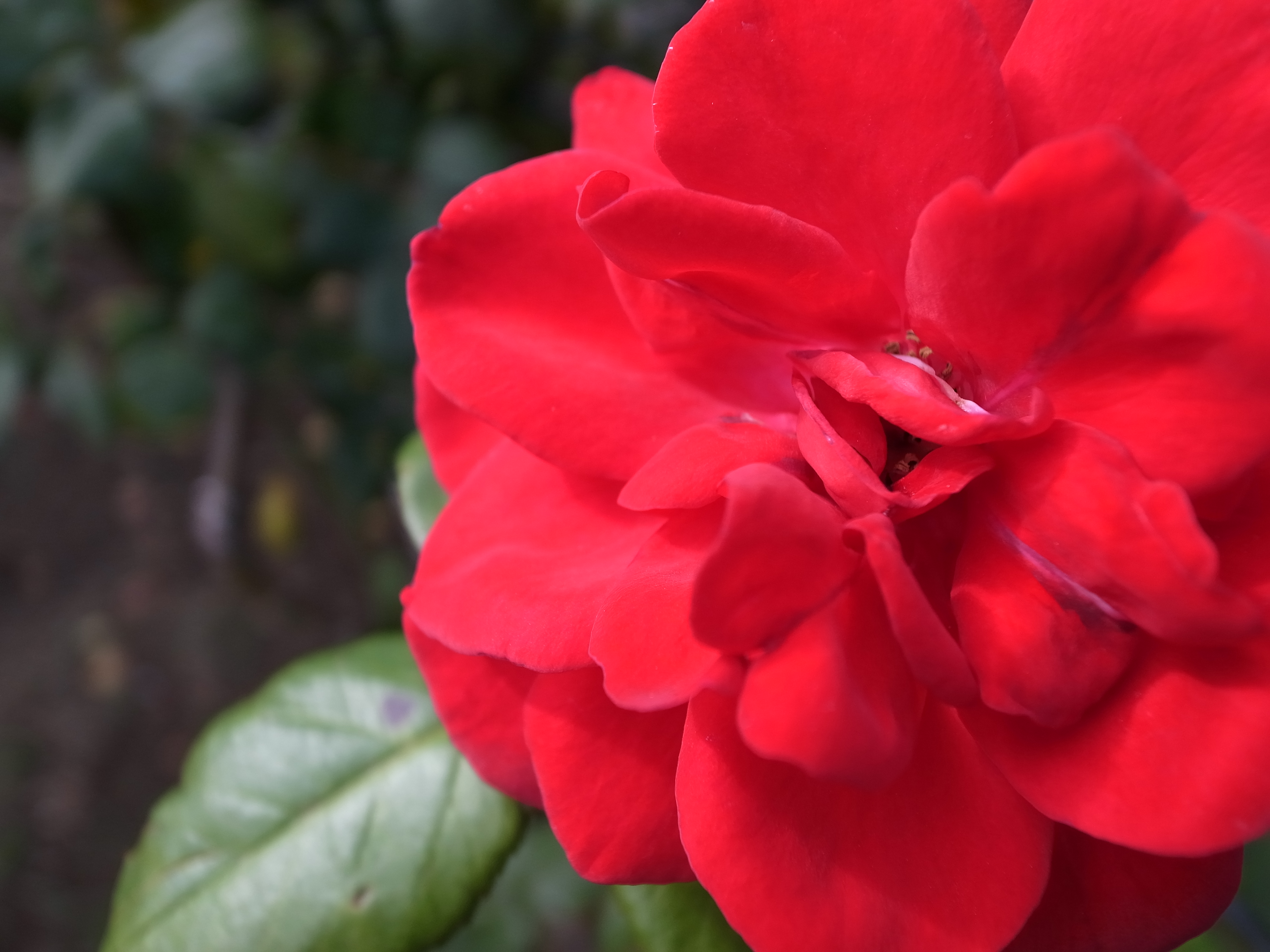 <b>GR DIGITAL IV / 3,648×2,736 / 1/800秒 / F1.9 / -0.7EV / ISO80 / WB:オート</b>