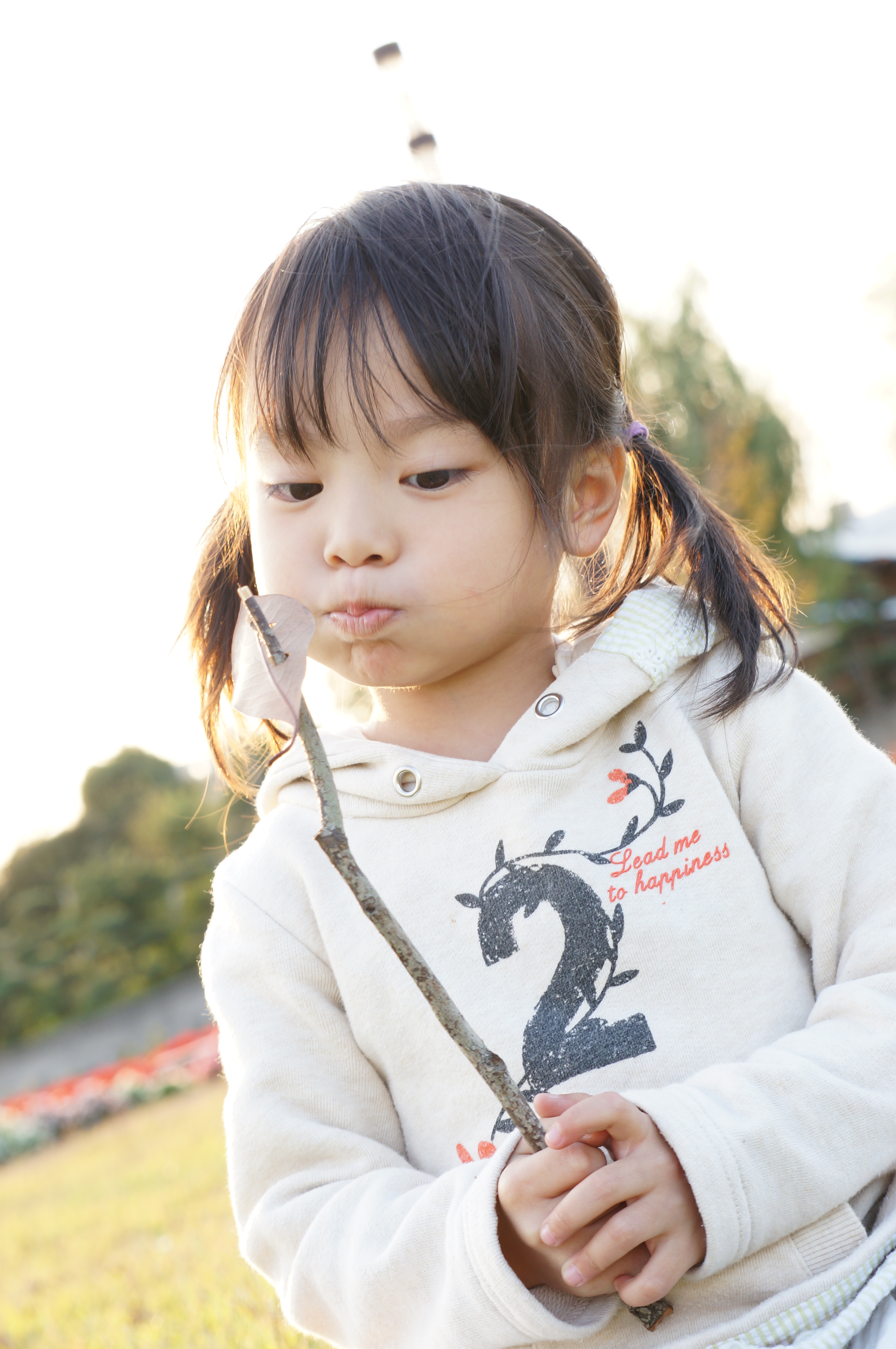 <b>NEX-5N / E 55-210mm F4.5-6.3 OSS / 約3.2MB / 3,264×4,912 / 1/40秒 / F7 / +2.3EV / ISO200 / 絞り優先AE / WB：オート / 55mm</b>