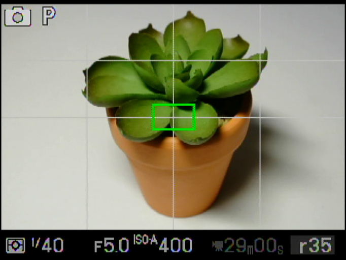 <b>撮影時の液晶モニターの画面。格子線を表示させている。電子ビューファインダーの表示も同じだ</b>