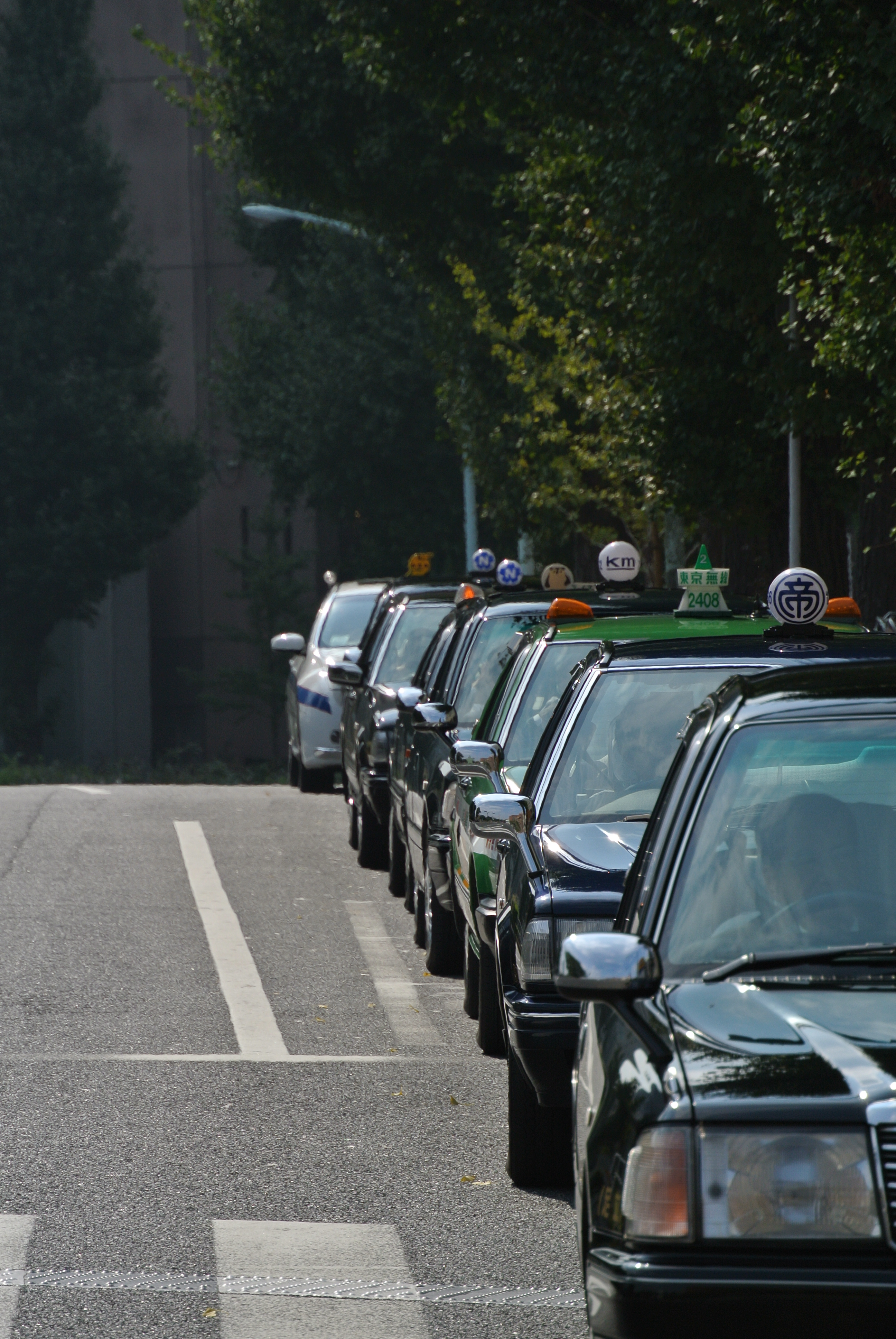 <b>NIKON 1 V1 / 1 NIKKOR VR 30-110mm F3.8-5.6 / 5.8MB / 2592X3872 / 1/800秒 / F5.6 / -1.3EV / ISO100 / WB:オート / 110mm</b>