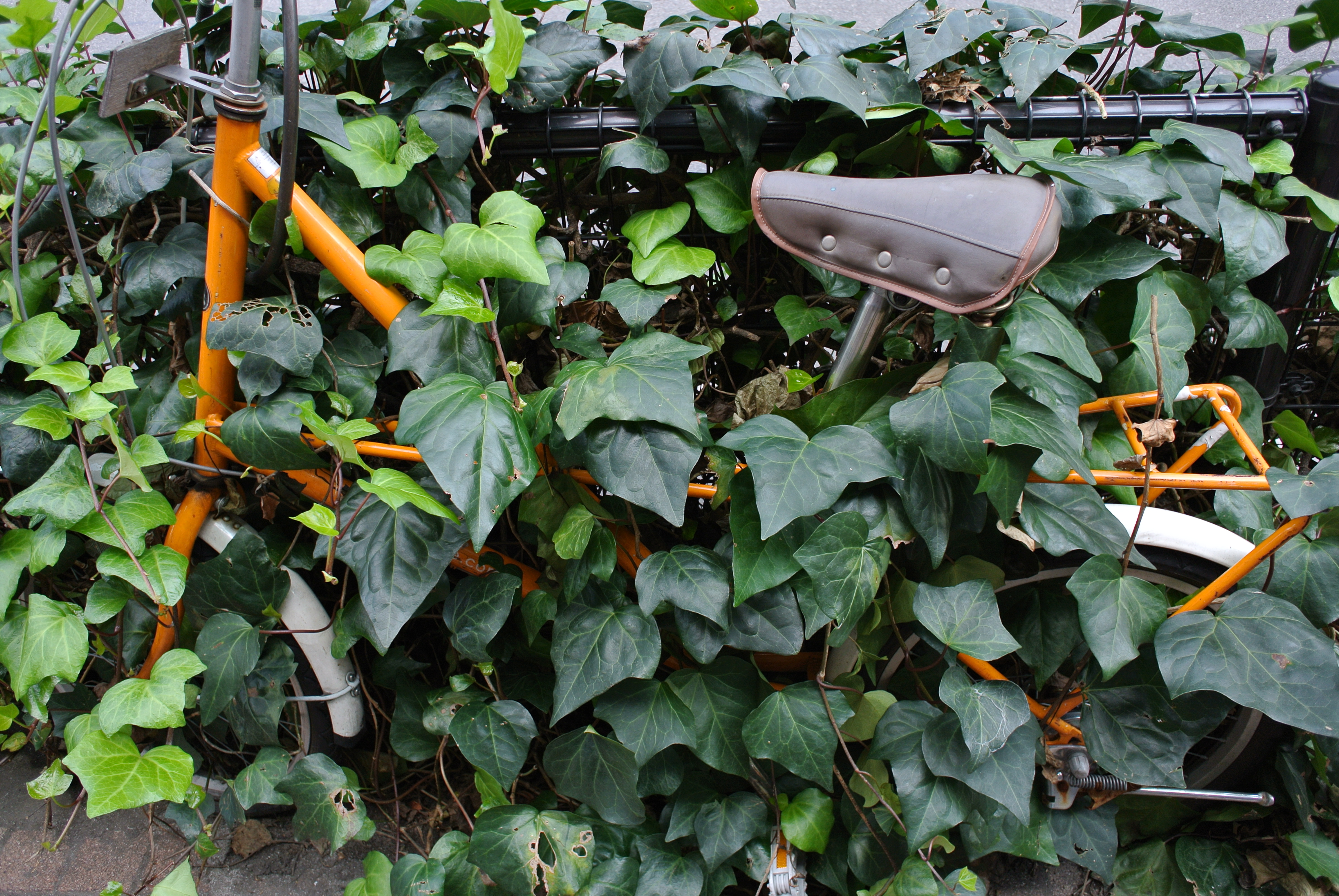 <b>NIKON 1 V1 / 1 NIKKOR 10mm F2.8 / 6.7MB / 3,872×2,592 / 1/160秒 / F3.2 / -0.7EV / ISO100 / WB:オート / 10mm</b>