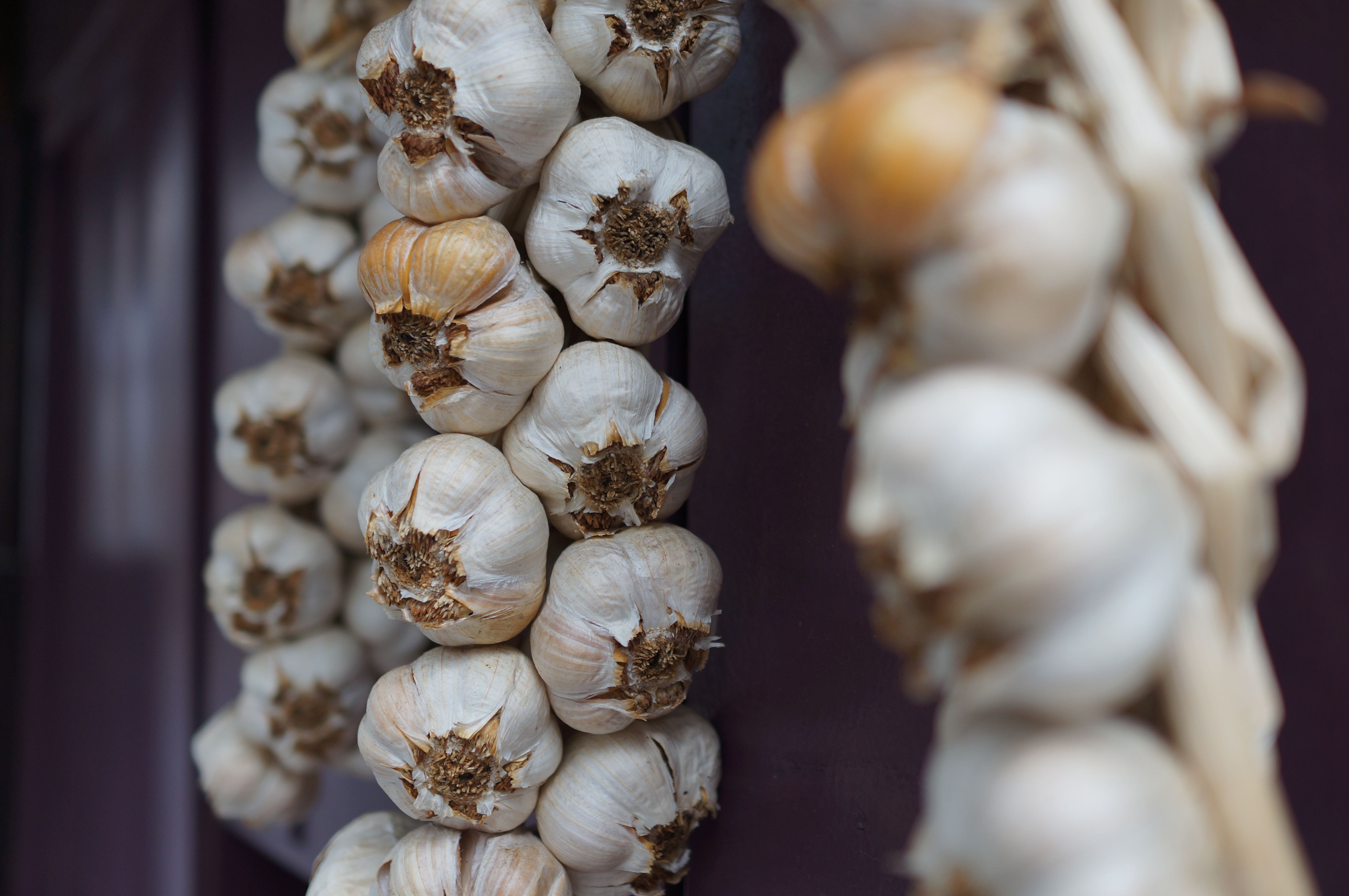 <b>NEX-5N / Sonnar T* E 24mm F1.8 ZA / 約3.9MB / 4,912×3,264 / 1/250秒 / F2 / -0.3EV / ISO100 / WB:オート</b>