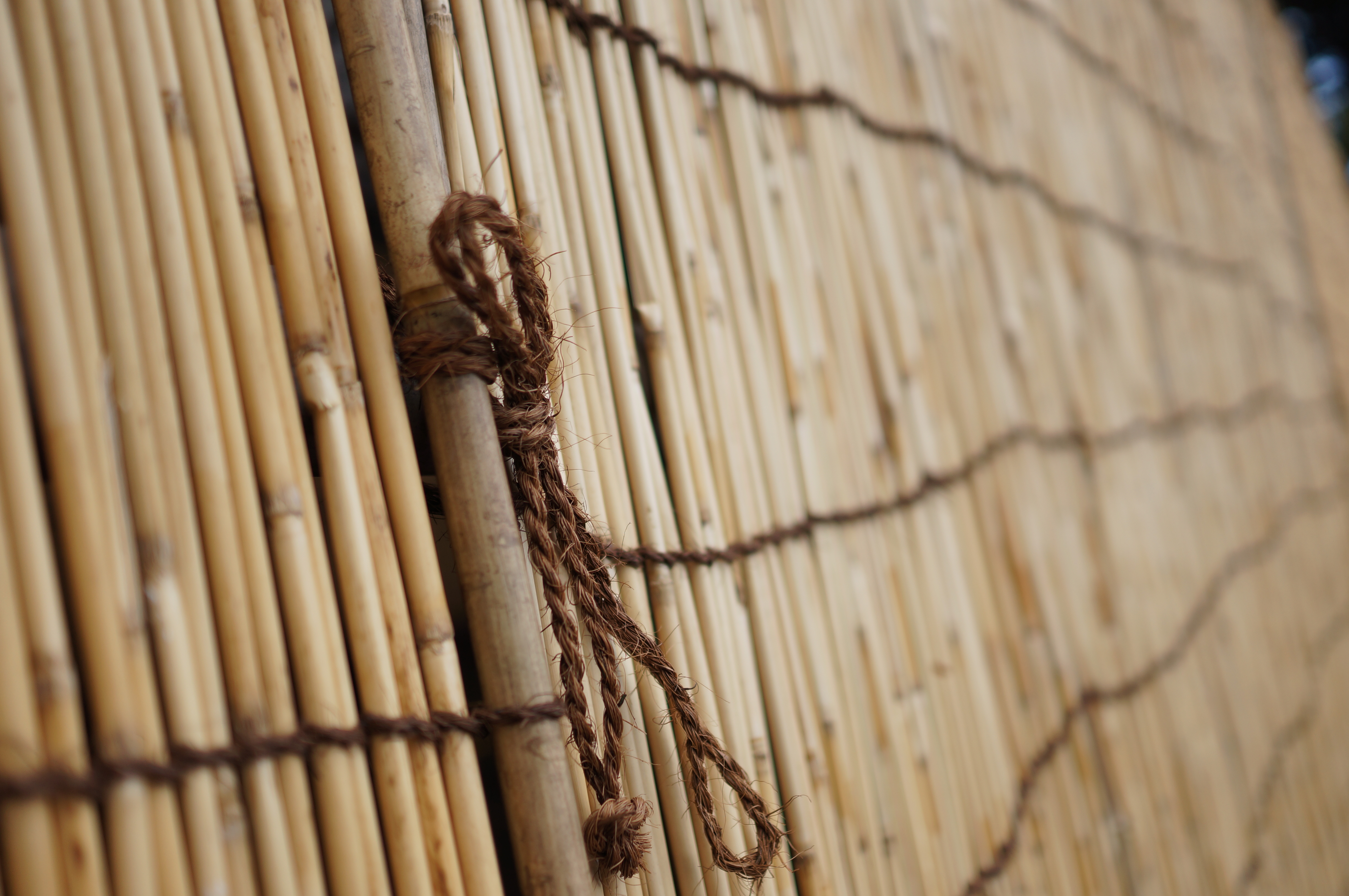 <b>NEX-5N / Sonnar T* E 24mm F1.8 ZA / 約3.6MB / 4,912×3,264 / 1/1,250秒 / F1.8 / +0.7EV / ISO100 / WB:オート</b>