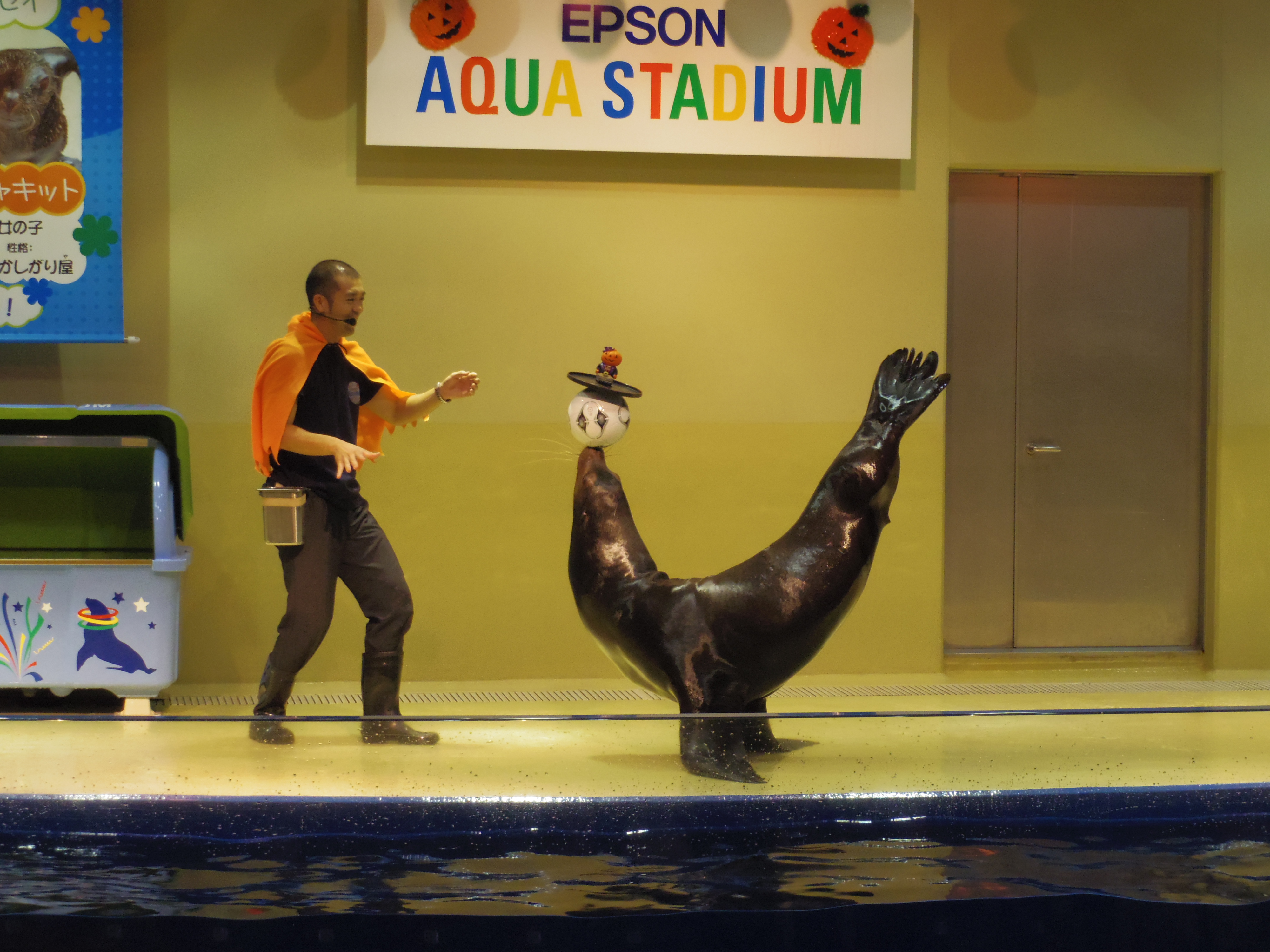 <b>アシカショーの後半、トレーナーのおにいさんが「ここがシャッターチャンスです！」と叫んだので逃さないようにパチリ! PENTAX Q / PENTAX-02 STANDARD ZOOM / 約2.8MB / 4,000×3,000 / 1/100秒 / F4.5 / 0.0EV / ISO800 / WB:オート / 15mm</b>