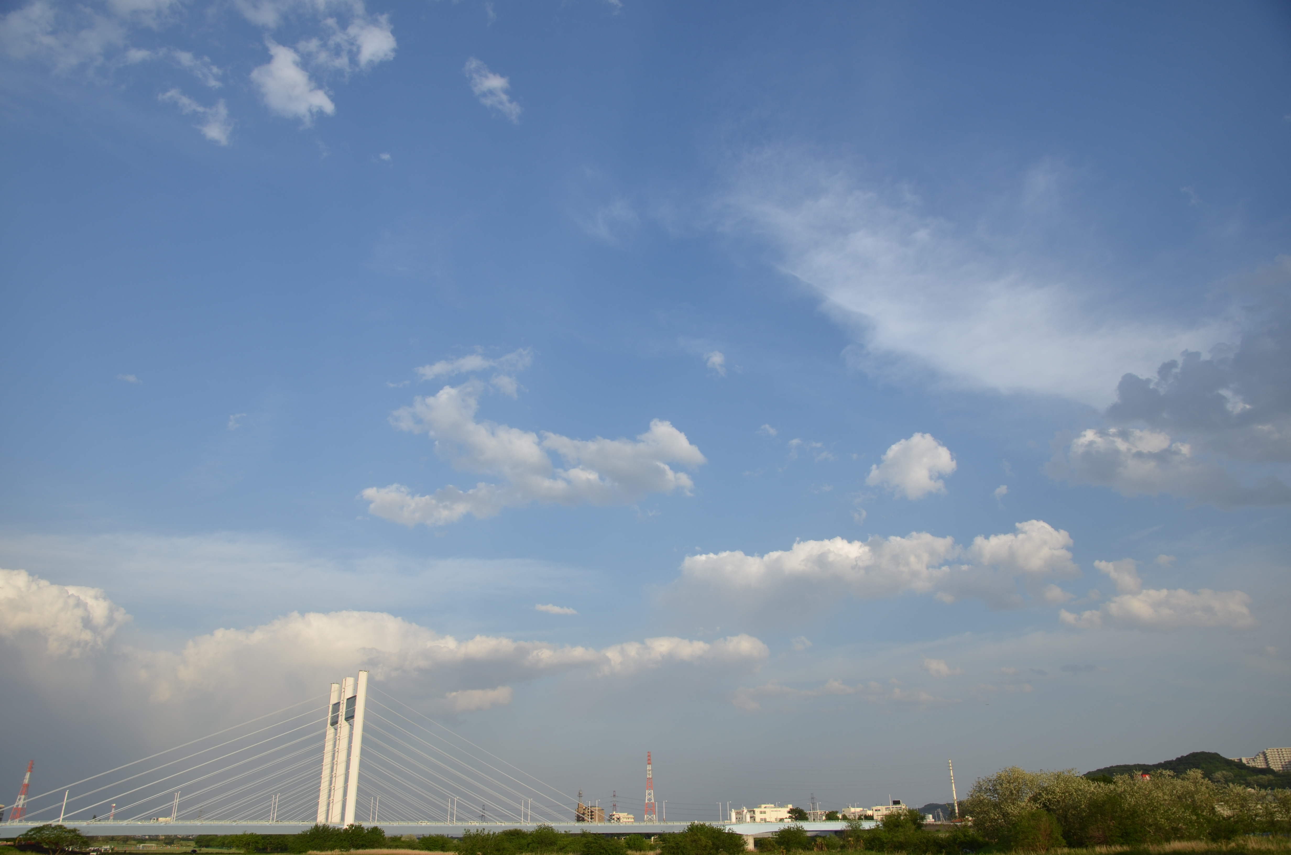 <b>D7000 / AF-S DX NIKKOR 16-85mm F3.5-5.6 G ED VR / 約4.5MB / 4,928×3,264 / 1/400秒 / F5.6 / 0.0EV / ISO100 / WB:晴天 / 16mm</b>