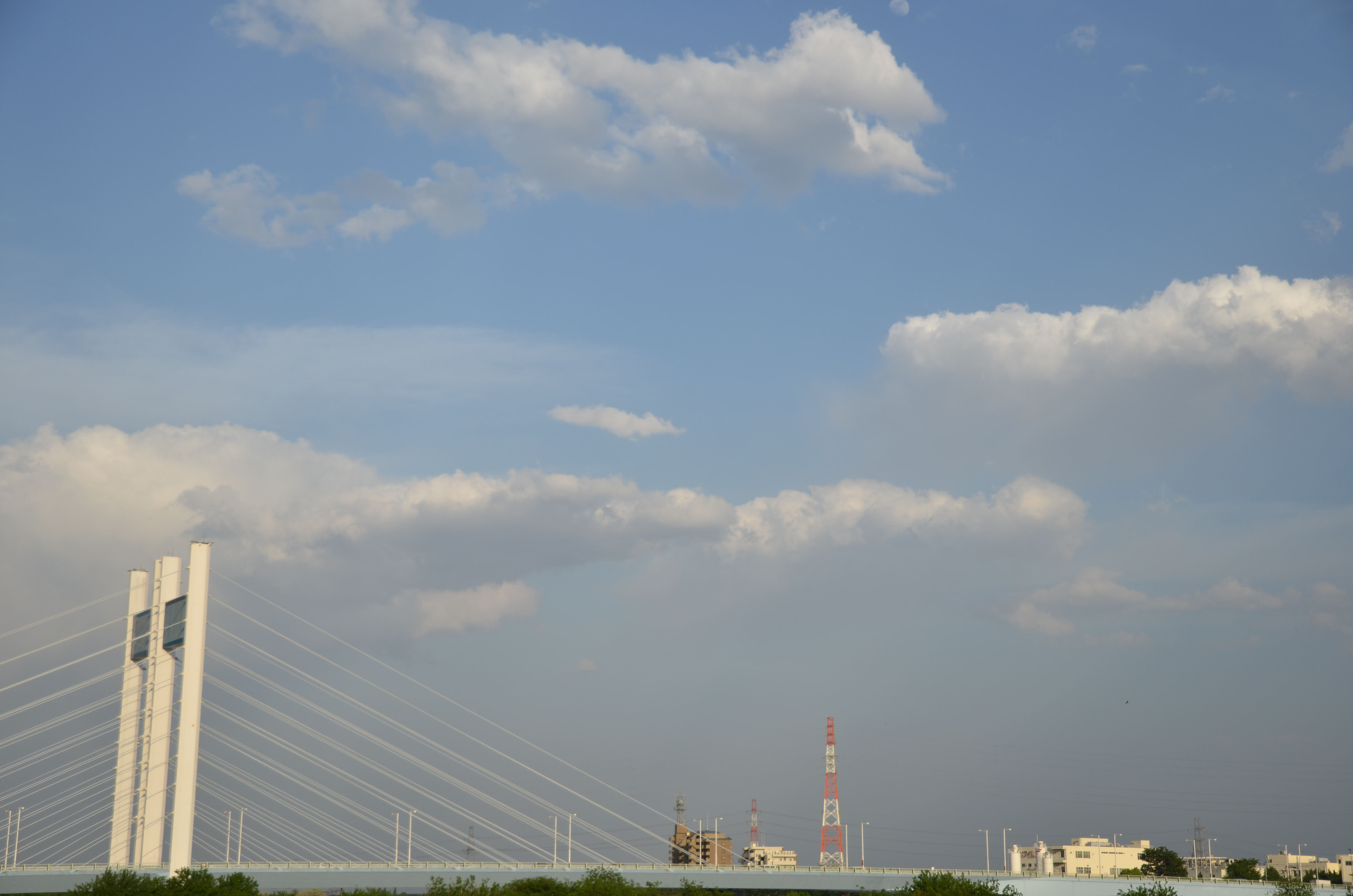 <b>D7000 / AF-S DX NIKKOR 16-85mm F3.5-5.6 G ED VR / 約4.2MB / 4,928×3,264 / 1/640秒 / F4.5 / 0.0EV / ISO100 / WB:晴天 / 35mm</b>