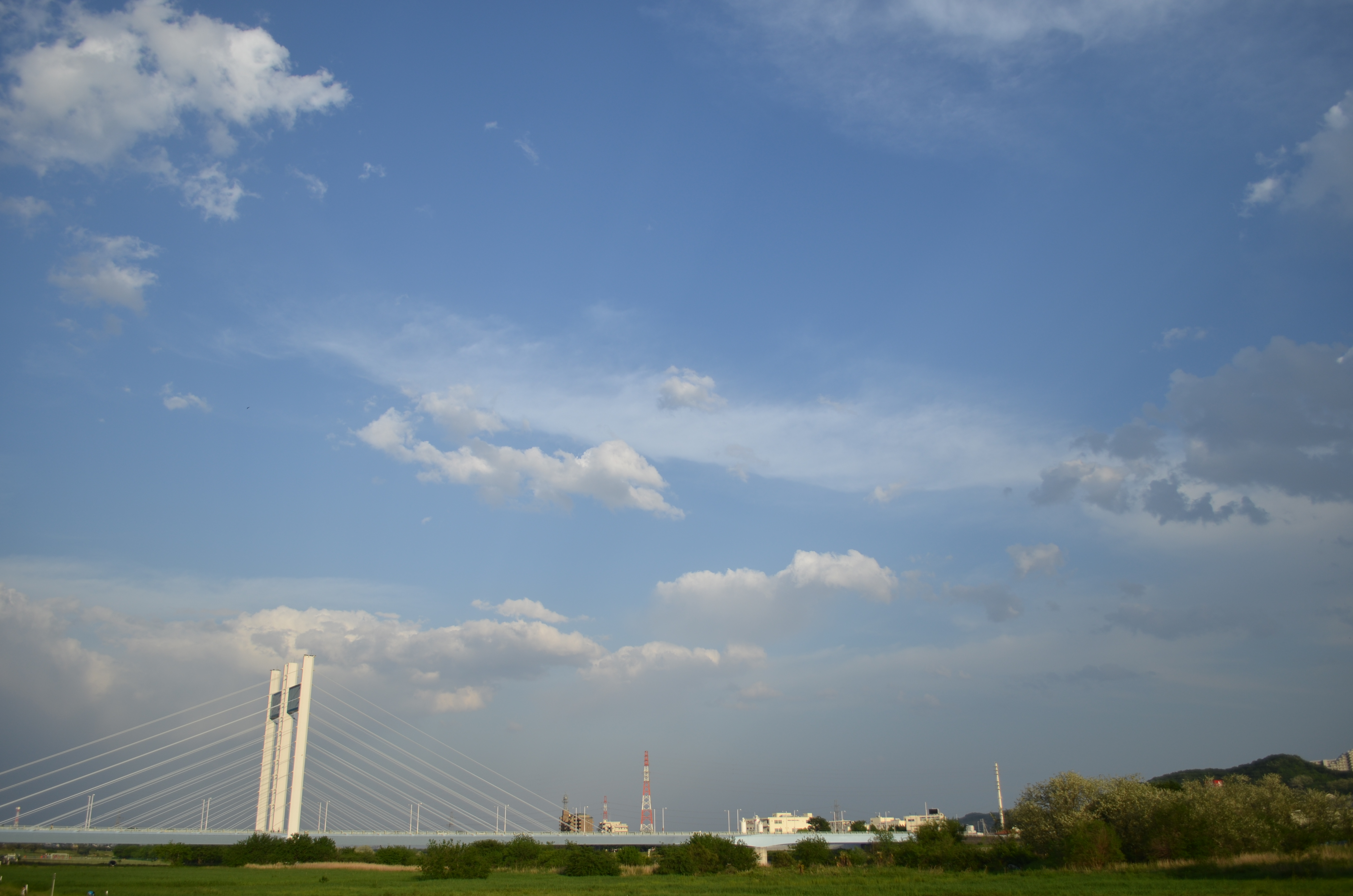 <b>D7000 / AF-S DX NIKKOR 18-55mm F3.5-5.6 G VR / 約4.5MB / 4,928×3,264 / 1/1,000秒 / F3.5 / 0.0EV / ISO100 / WB:晴天 / 18mm</b>