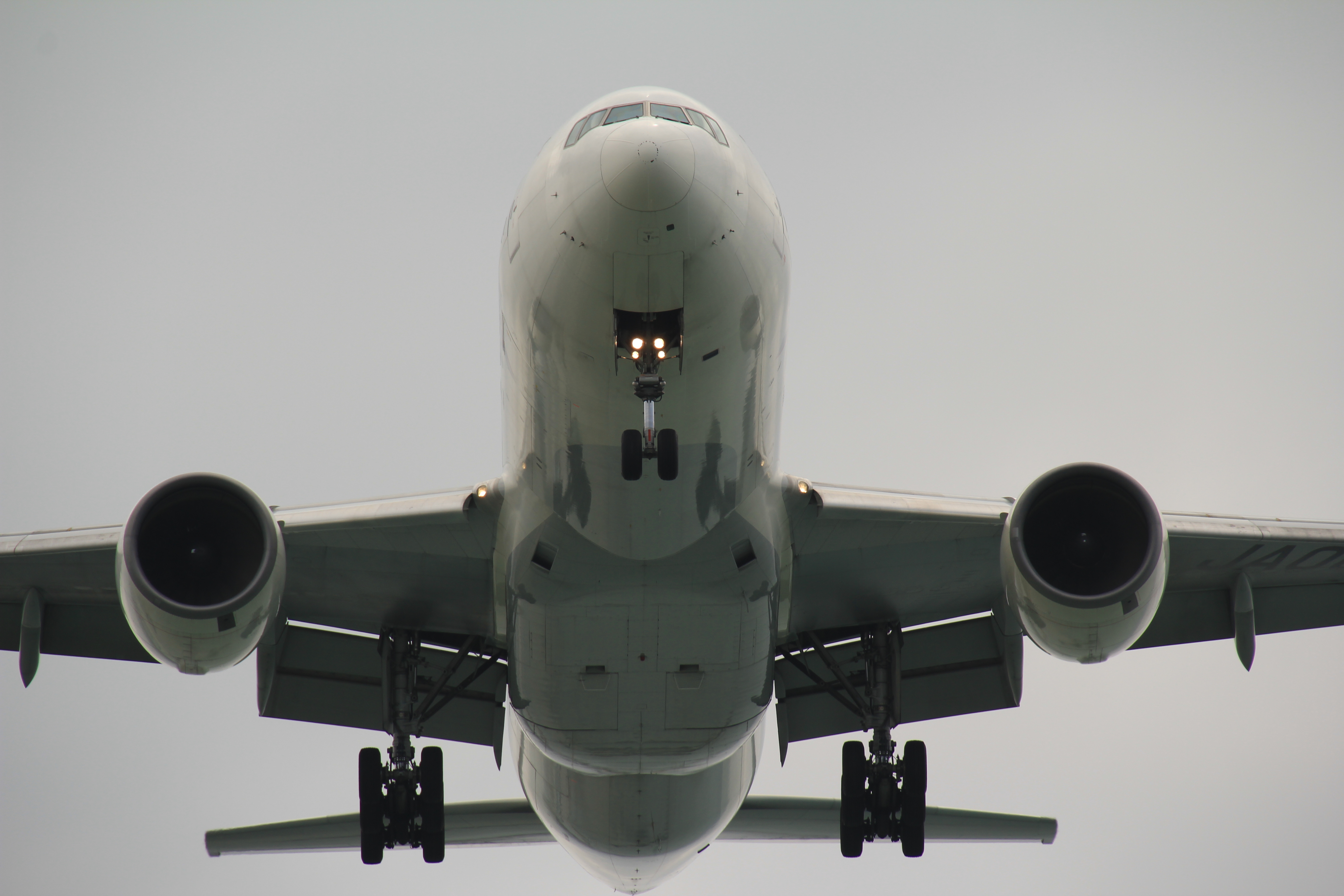 <b>EOS 60D / SIGMA 18-200mm F3.5-6.3 II DC OS HSM / 約3.7MB / 5,184×3,456 / 1/500秒 / F8 / 0.0EV / ISO100 / WB:くもり / 200mm</b>