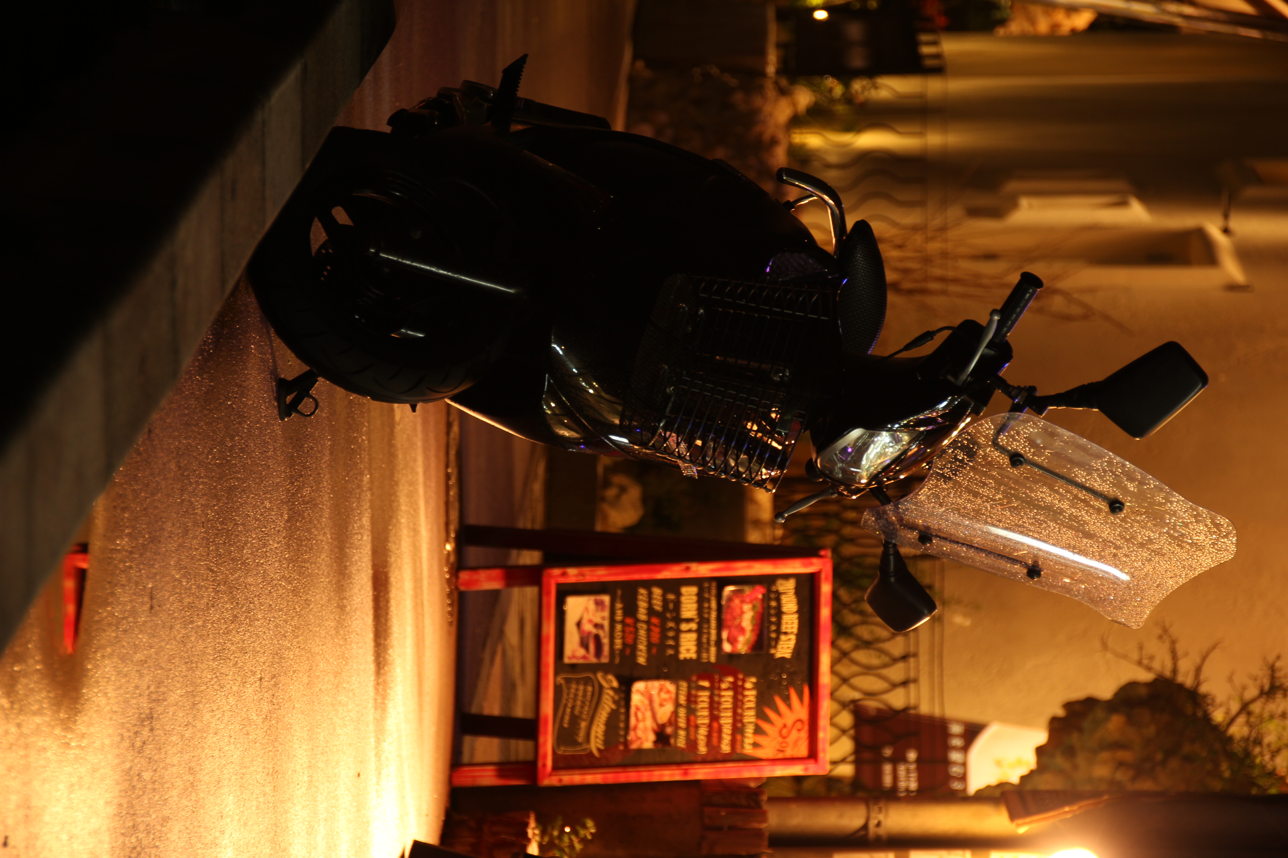 <b>EOS 60D / SIGMA 18-200mm F3.5-6.3 II DC OS HSM / 約5.1MB / 3456x5184 / 1/1.2秒 / F5.6 / -0.7EV / ISO200 / WB:太陽光 / 120mm</b>