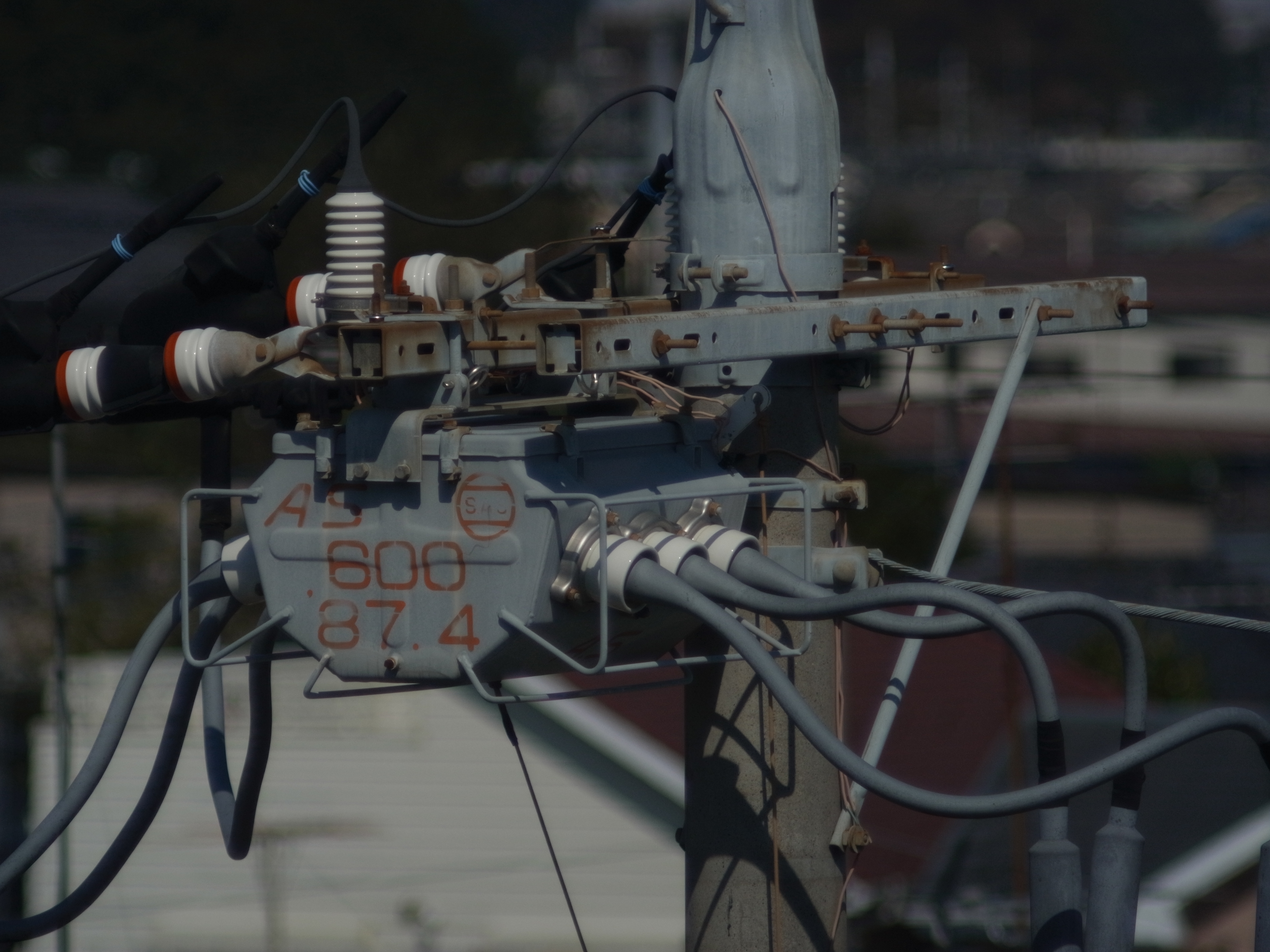 <b>GXR MOUNT A12 / 約3.7MB / 3,776×2,832 / 1/2500秒 / F5.6 / 0EV / ISO200 / マニュアル露出 / WB：屋外 / 300mm</b>