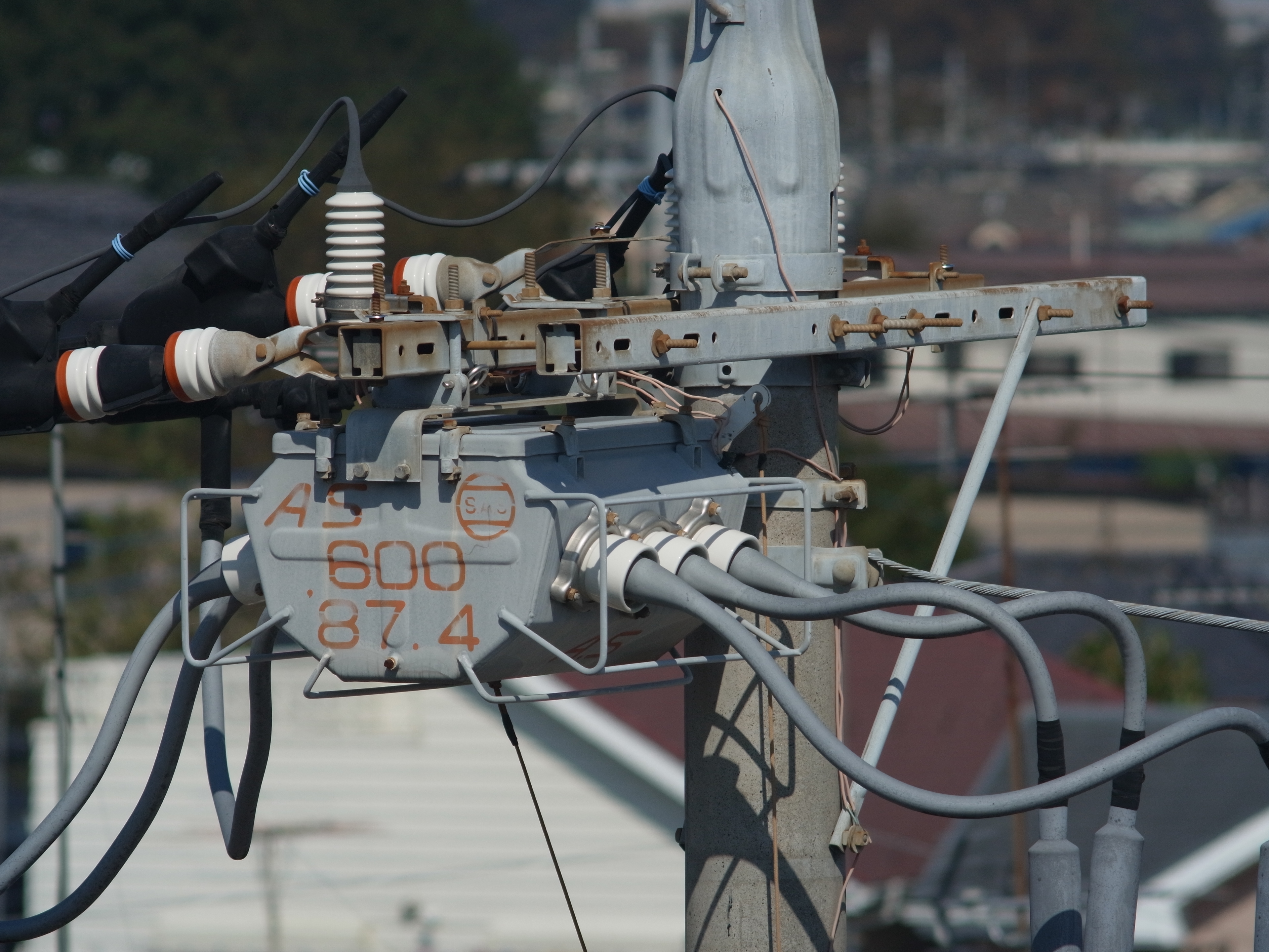 <b>GXR MOUNT A12 / 約3.8MB / 3,776×2,832 / 1/1000秒 / F8 / 0EV / ISO200 / マニュアル露出 / WB：屋外 / 300mm</b>