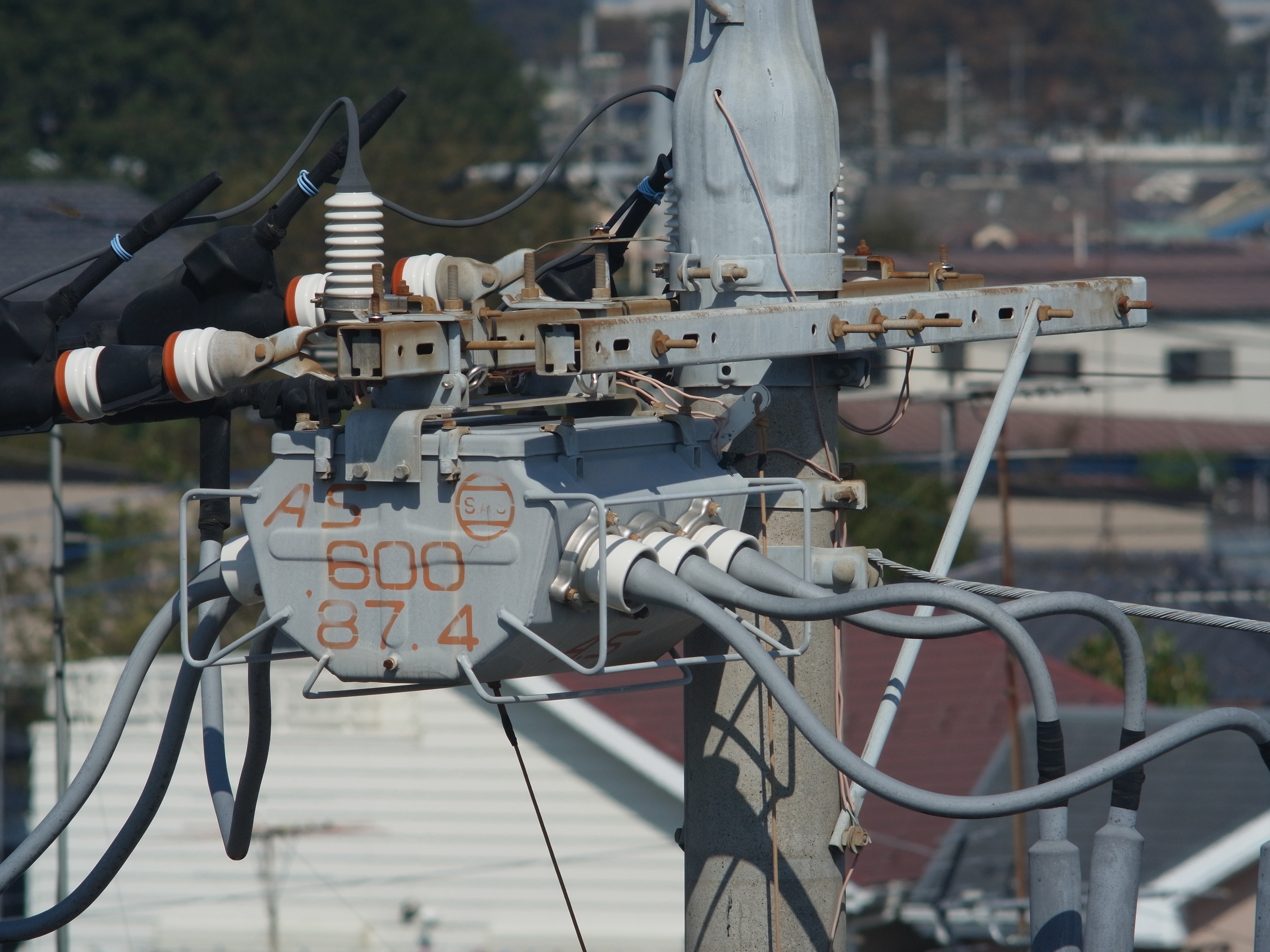 <b>GXR MOUNT A12 / 約3.8MB / 3,776×2,832 / 1/500秒 / F11 / 0EV / ISO200 / マニュアル露出 / WB：屋外 / 300mm</b>