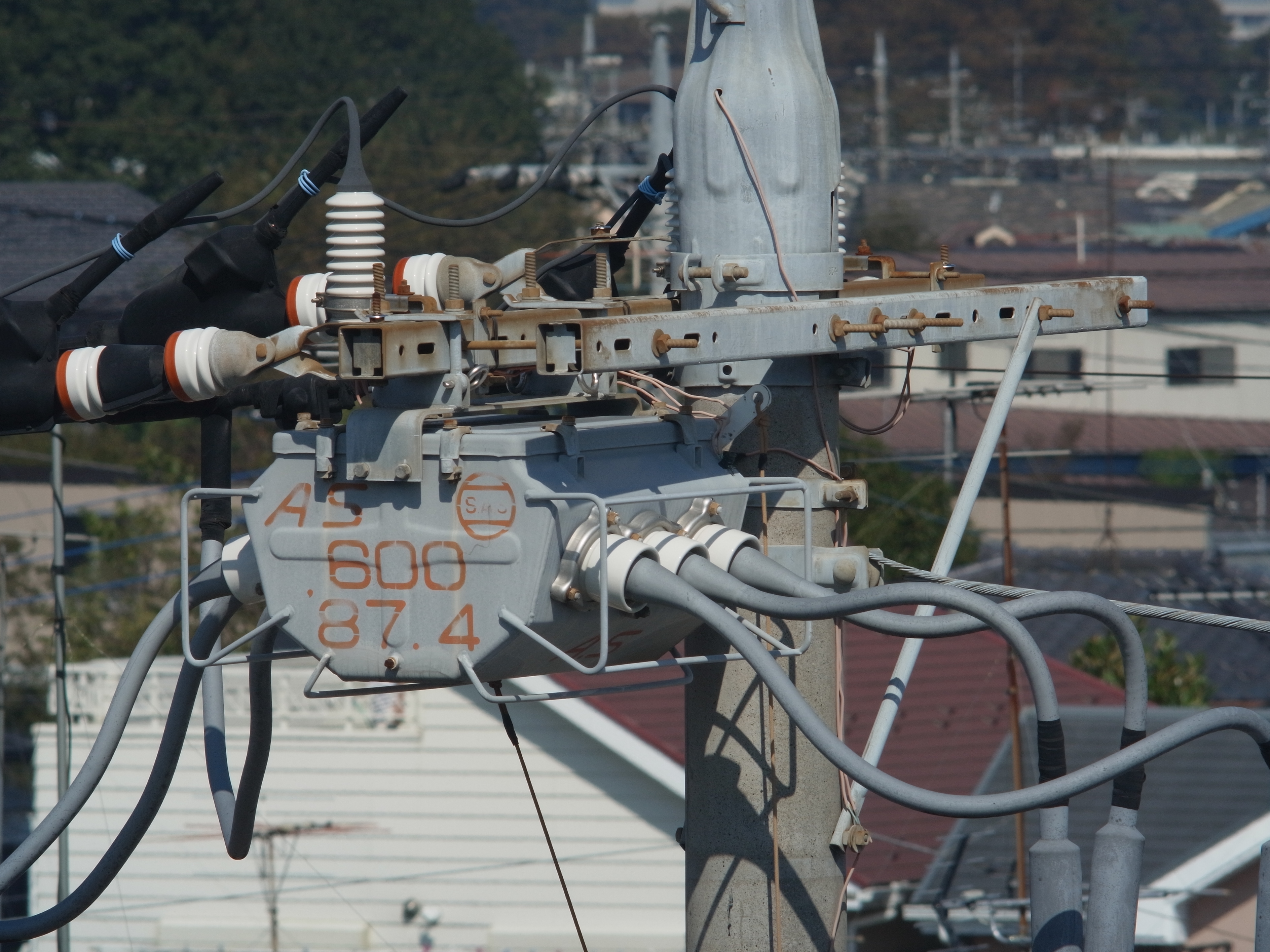 <b>GXR MOUNT A12 / 約3.8MB / 3,776×2,832 / 1/250秒 / F16 / 0EV / ISO200 / マニュアル露出 / WB：屋外 / 300mm</b>