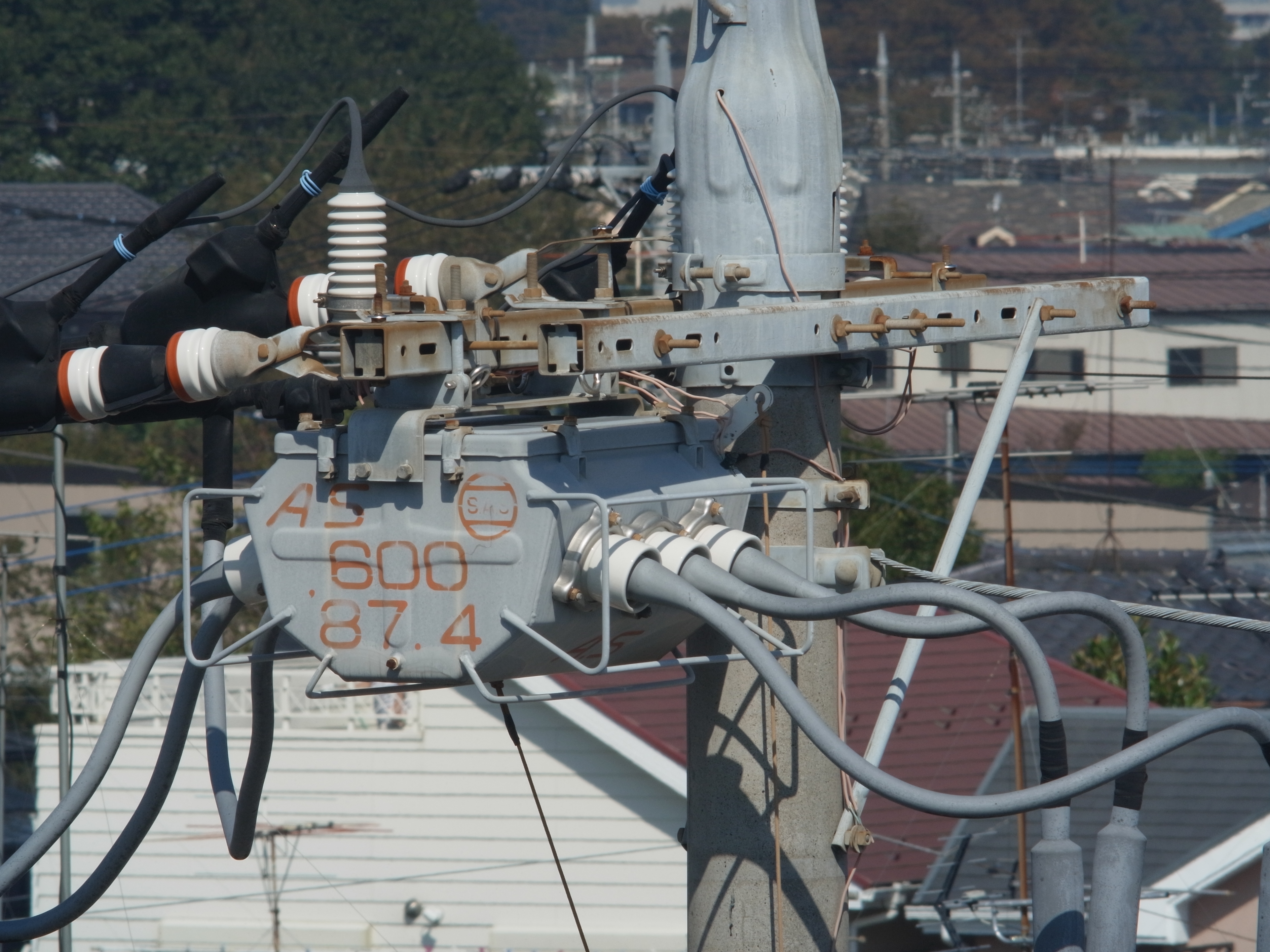 <b>GXR MOUNT A12 / 約3.8MB / 3,776×2,832 / 1/125秒 / F22 / 0EV / ISO200 / マニュアル露出 / WB：屋外 / 300mm</b>