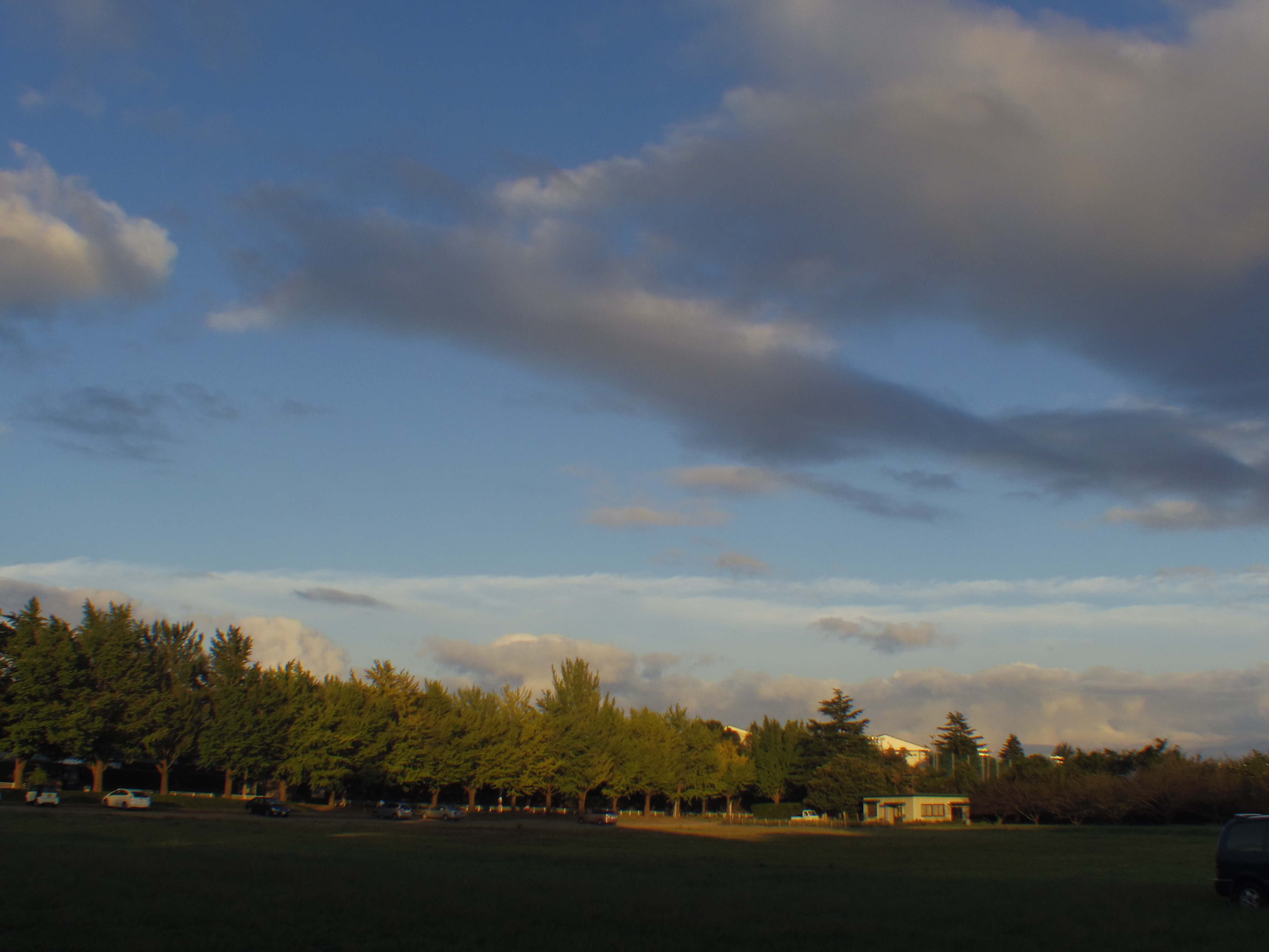 <b>PENTAX Q / ペンタックス/コズミカ6mm F1.2 / 約2.2MB / 4,000×3,000 / 1/640秒 / F8 / 0.0EV / ISO125 / WB:オート / カスタムイメージ:鮮やか</b>