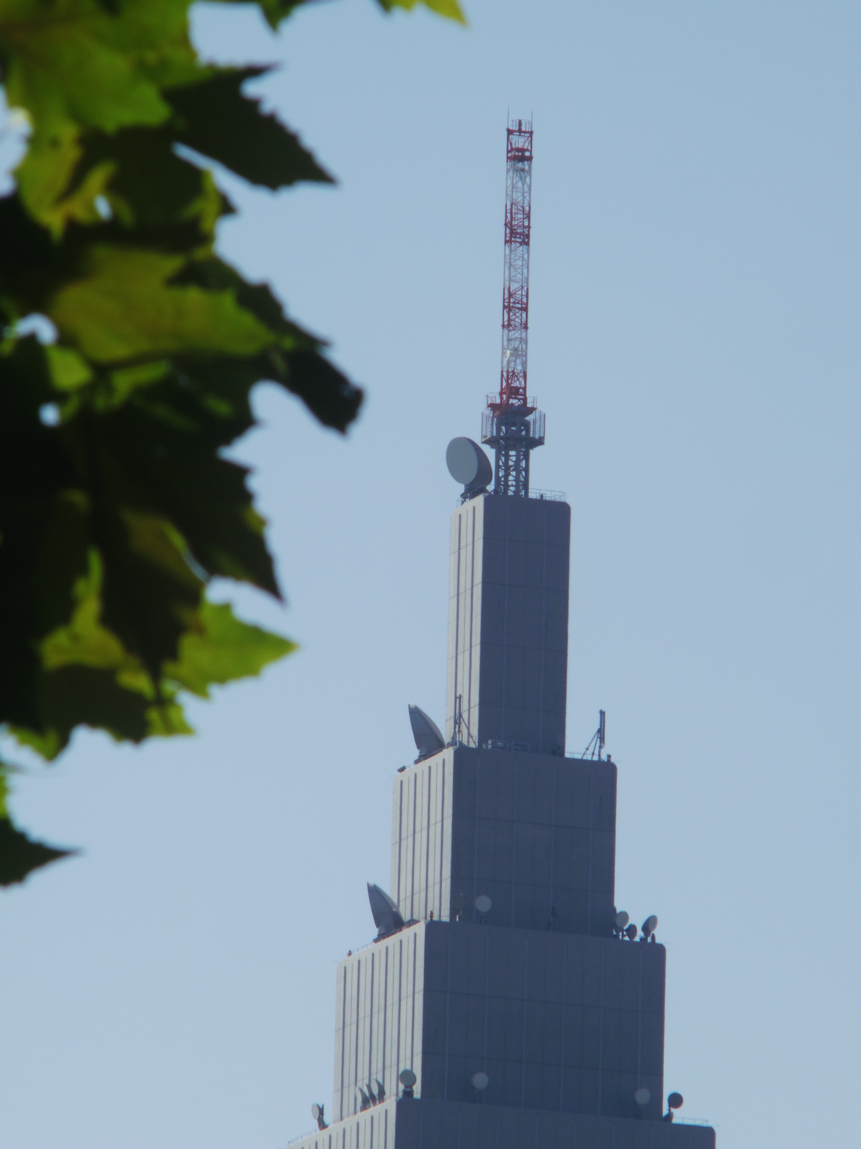 <b>PENTAX Q / アンジェニュー75mm F2.5 / 約2.1MB / 3,000×4,000 / 1/500秒 / F4 / +0.3EV / ISO125 / WB:オート / カスタムイメージ:リバーサルフィルム</b>