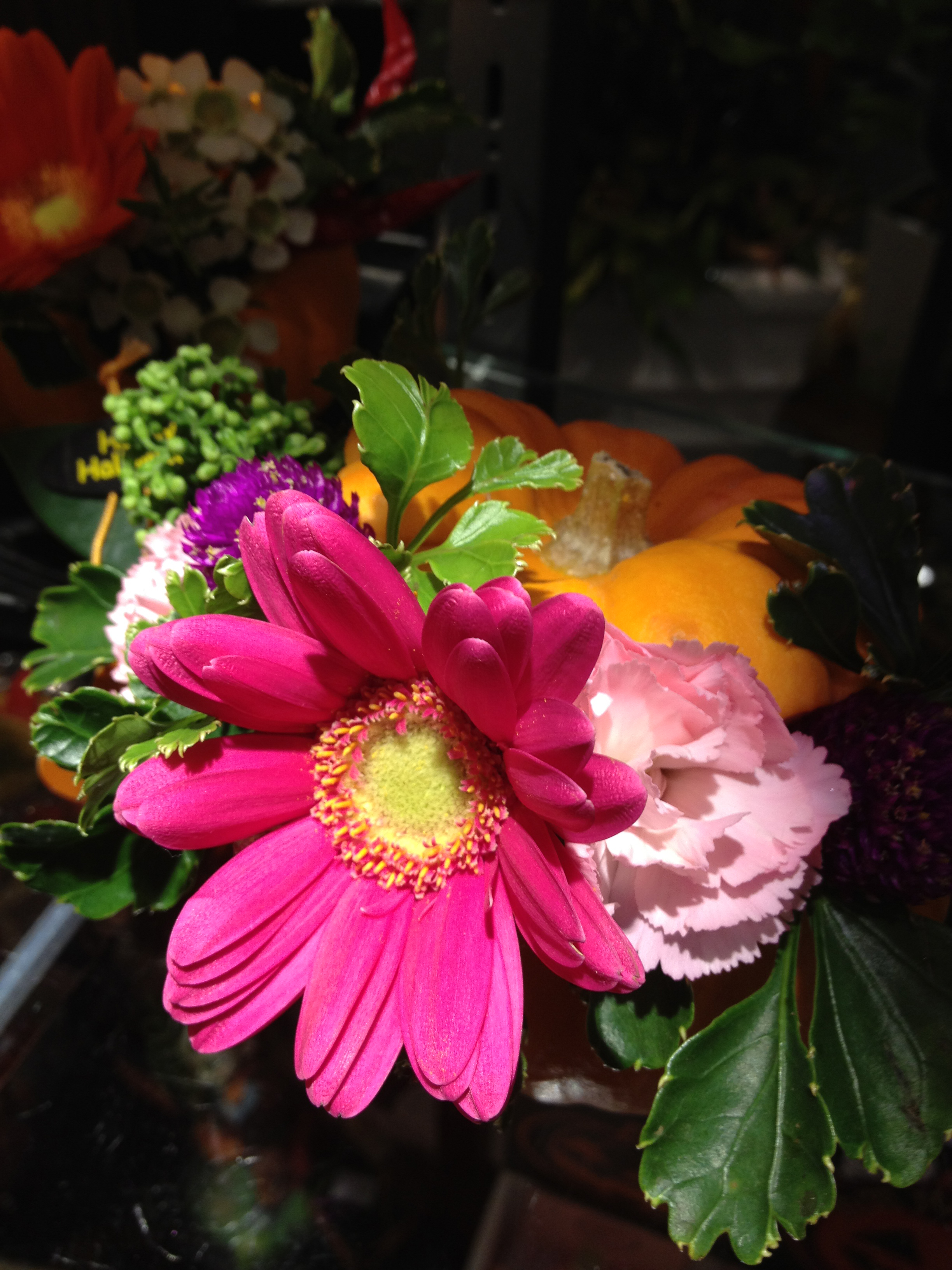 <b>iPhone 4S / 約3.2MB / 2,448×3,264 / 1/30秒 / F2.4 / ISO64 / 4.3mm</b>