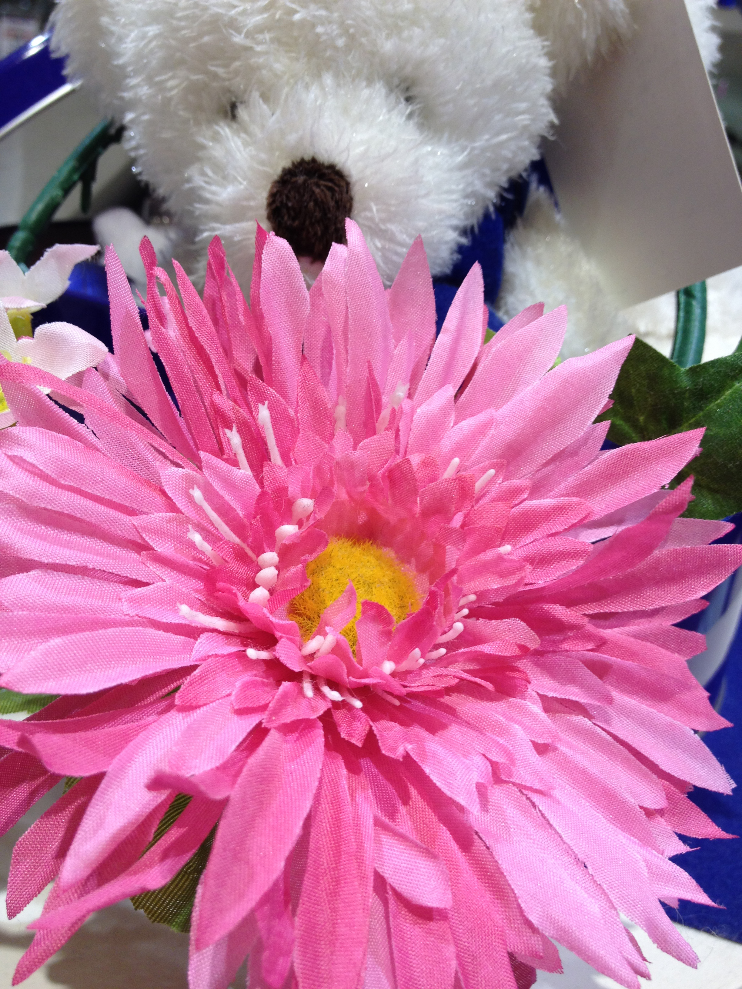 <b>iPhone 4S / 約5.2MB / 2,448×3,264 / 1/40秒 / F2.4 / ISO64 / 4.3mm</b>