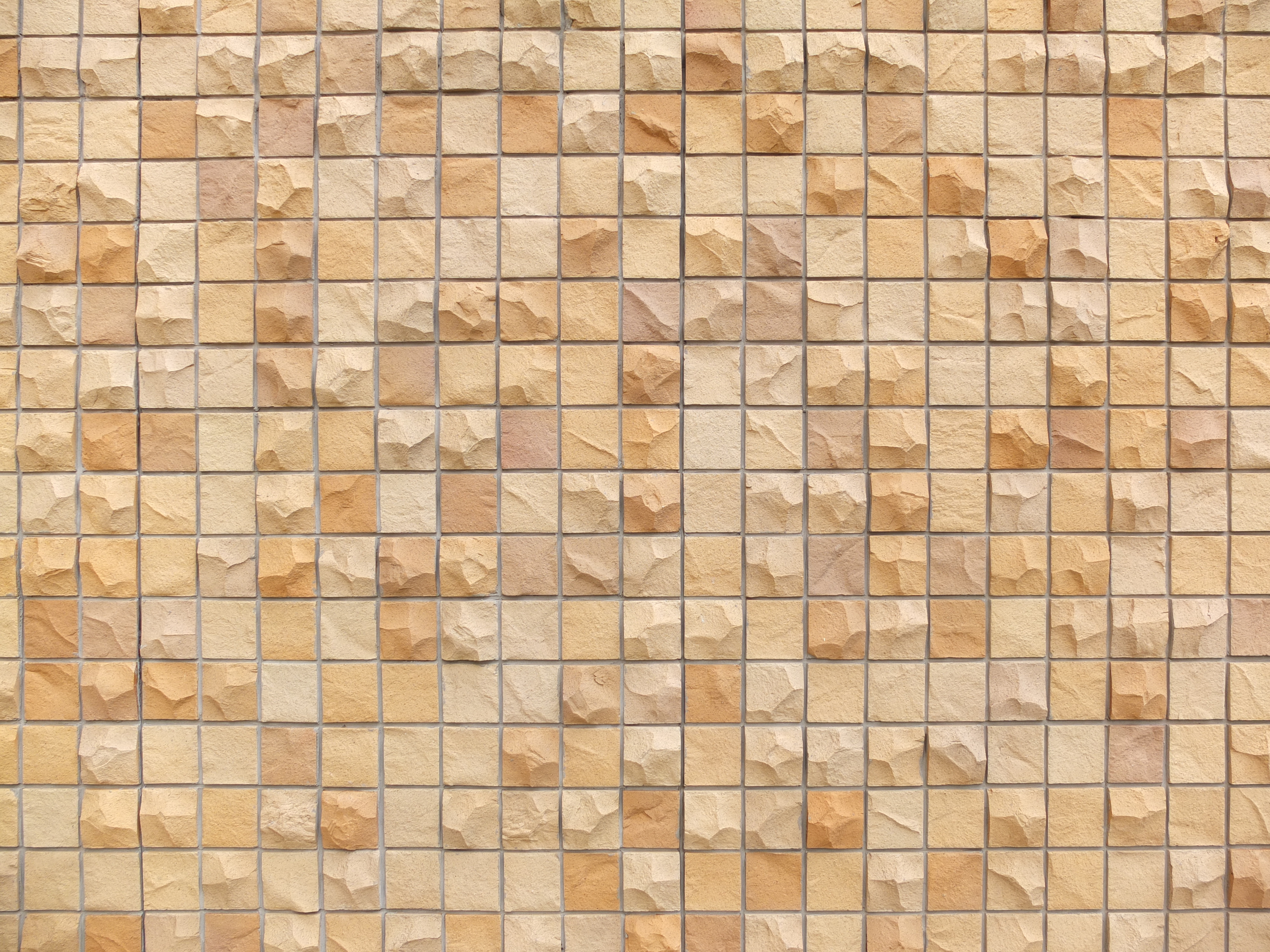 <b>広角端 / F2 / FINEPIX X10 / 4.8MB / 4,000×3,000 / 1/1,000秒 / 0.0EV / ISO100 / WB:オート / 7.1mm</b>