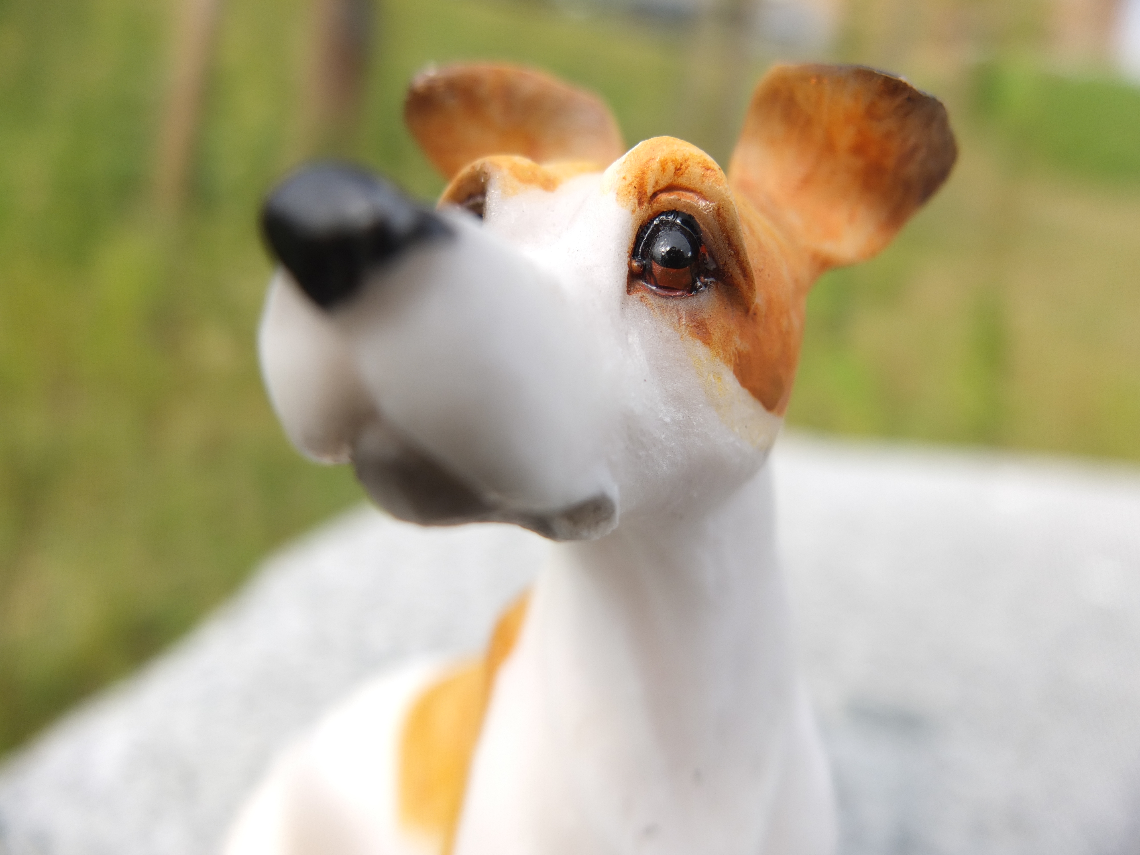 <b>スーパーマクロ（広角端） / FINEPIX X10 / 4.5MB / 4,000×3,000 / 1/1,300秒 / F2.5 / 0.0EV / ISO100 / WB:オート / 7.1mm</b>