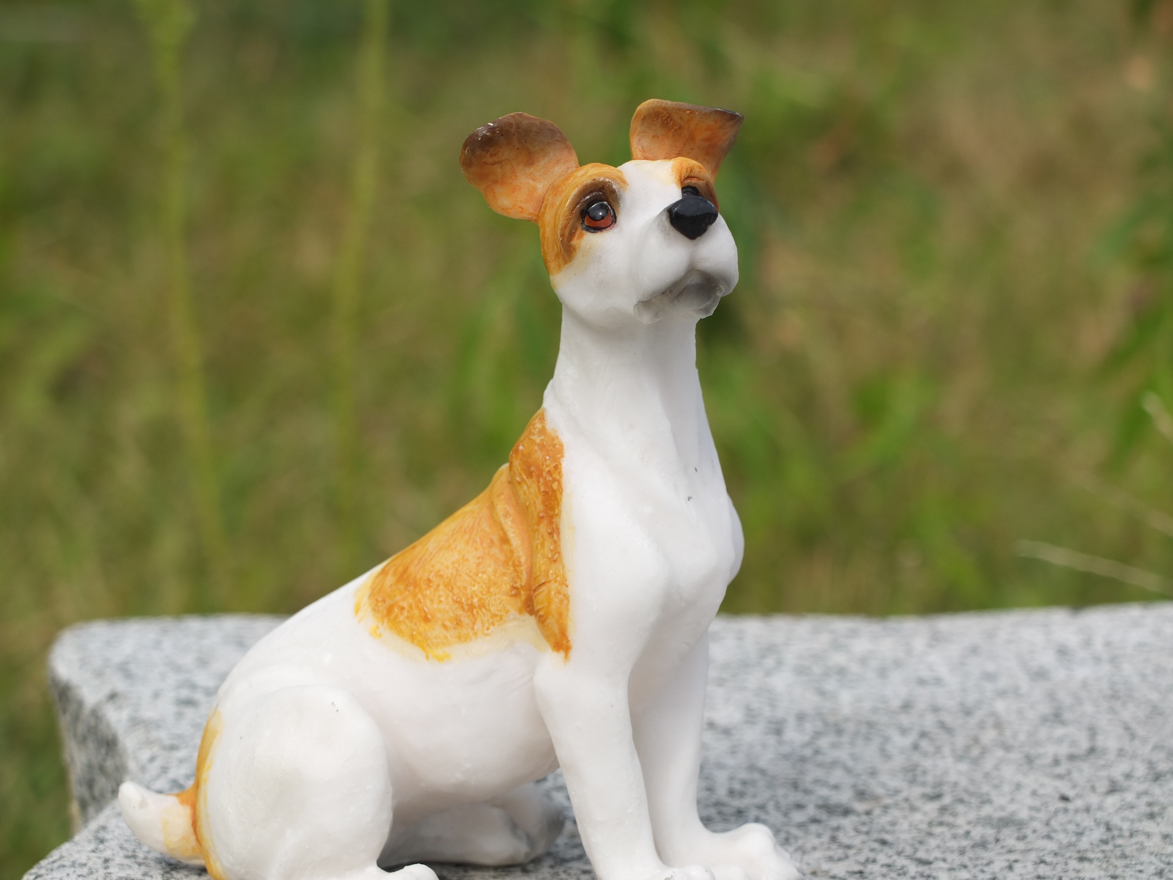 <b>望遠端（マクロ） / FINEPIX X10 / 4.4MB / 4,000×3,000 / 1/850秒 / F4.5 / +0.3EV / ISO100 / WB:オート / 28.4mm</b>