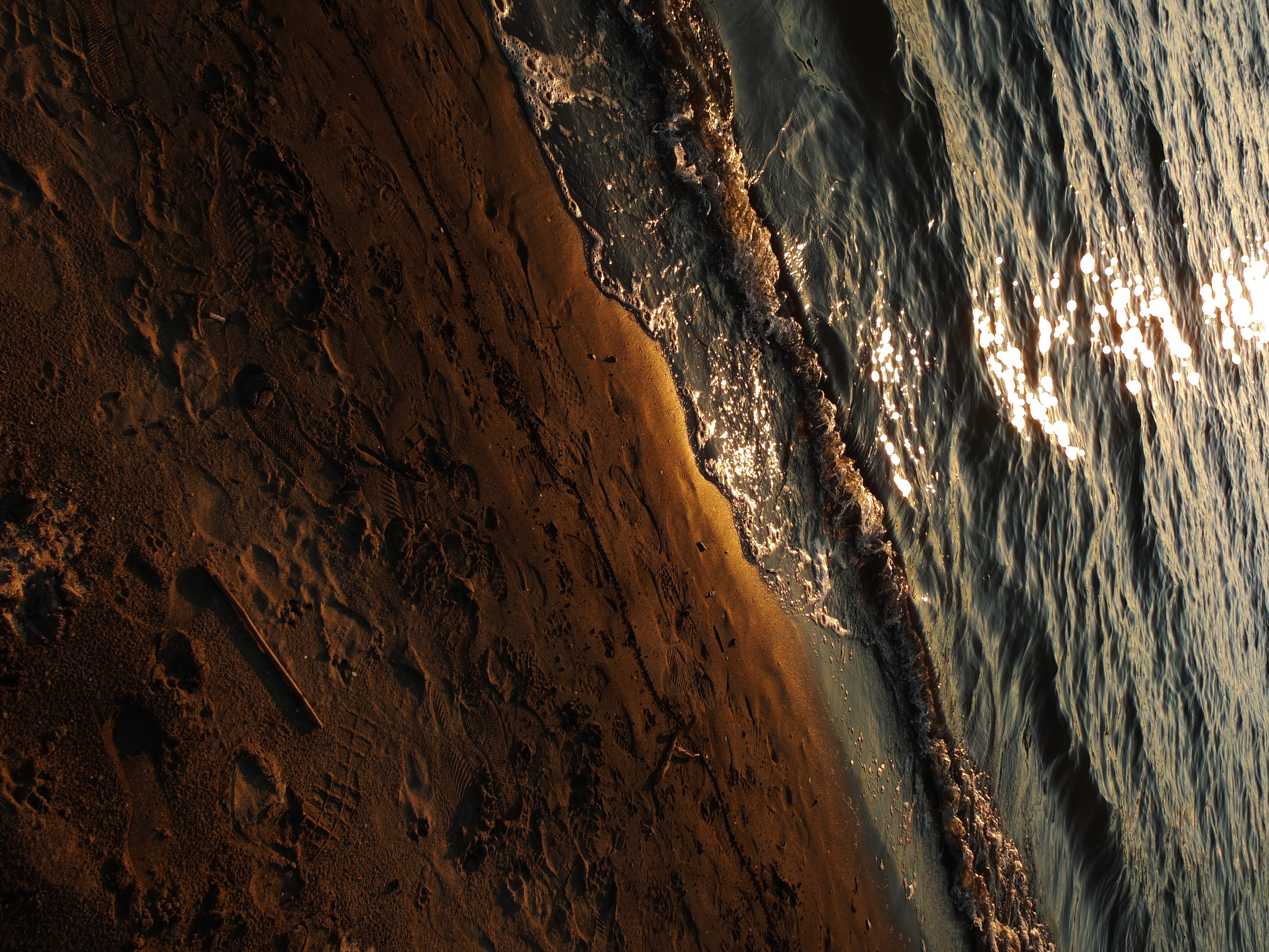 <b>FINEPIX X10 / 4.6MB / 3,000×4,000 / 1/600秒 / F4 / 0.0EV / ISO100 / WB:オート / 7.1mm</b>