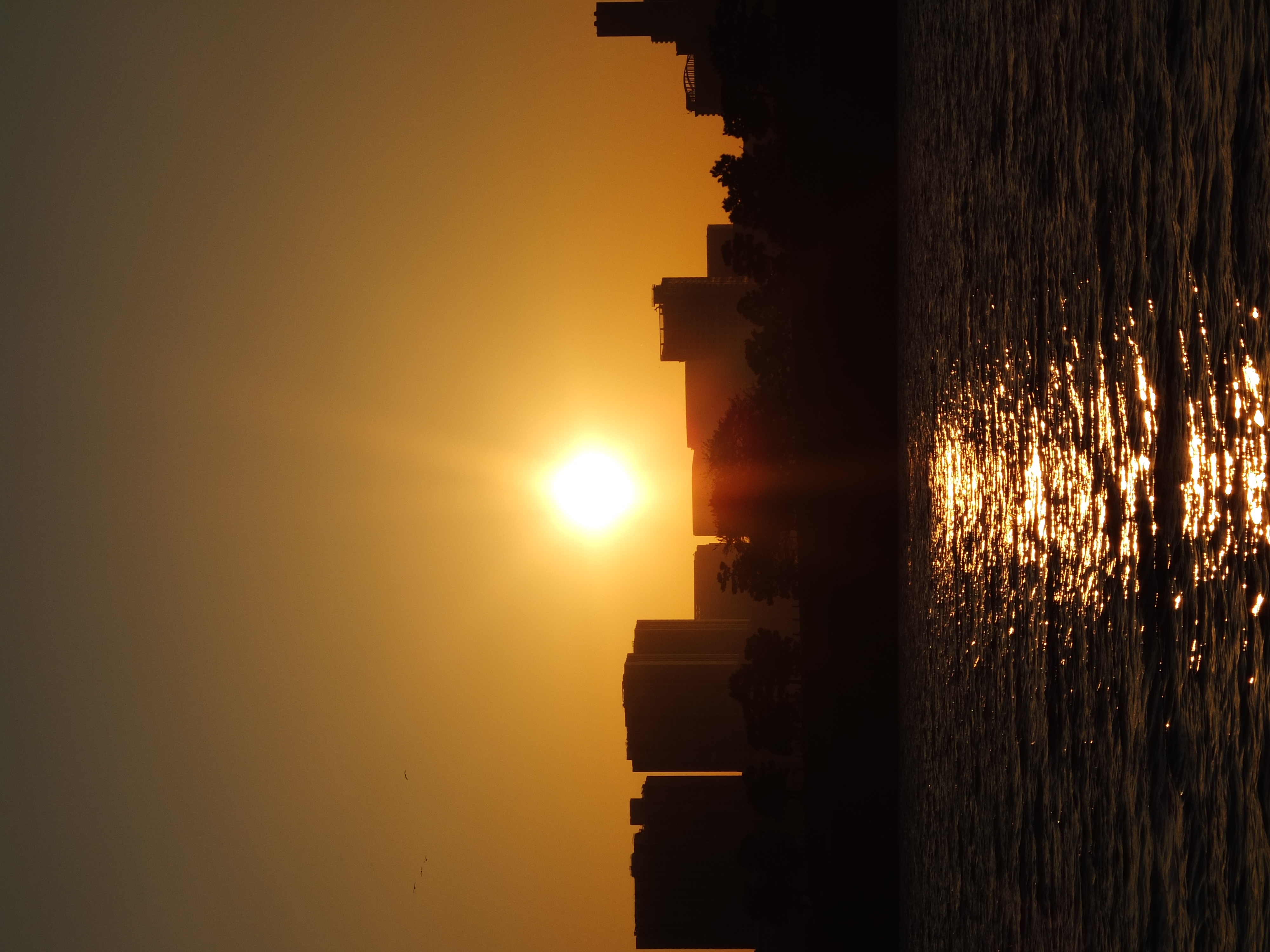 <b>FINEPIX X10 / 4.4MB / 3,000×4,000 / 1/1500秒 / F9 / +0.7EV / ISO100 / WB:オート / 28.4mm</b>