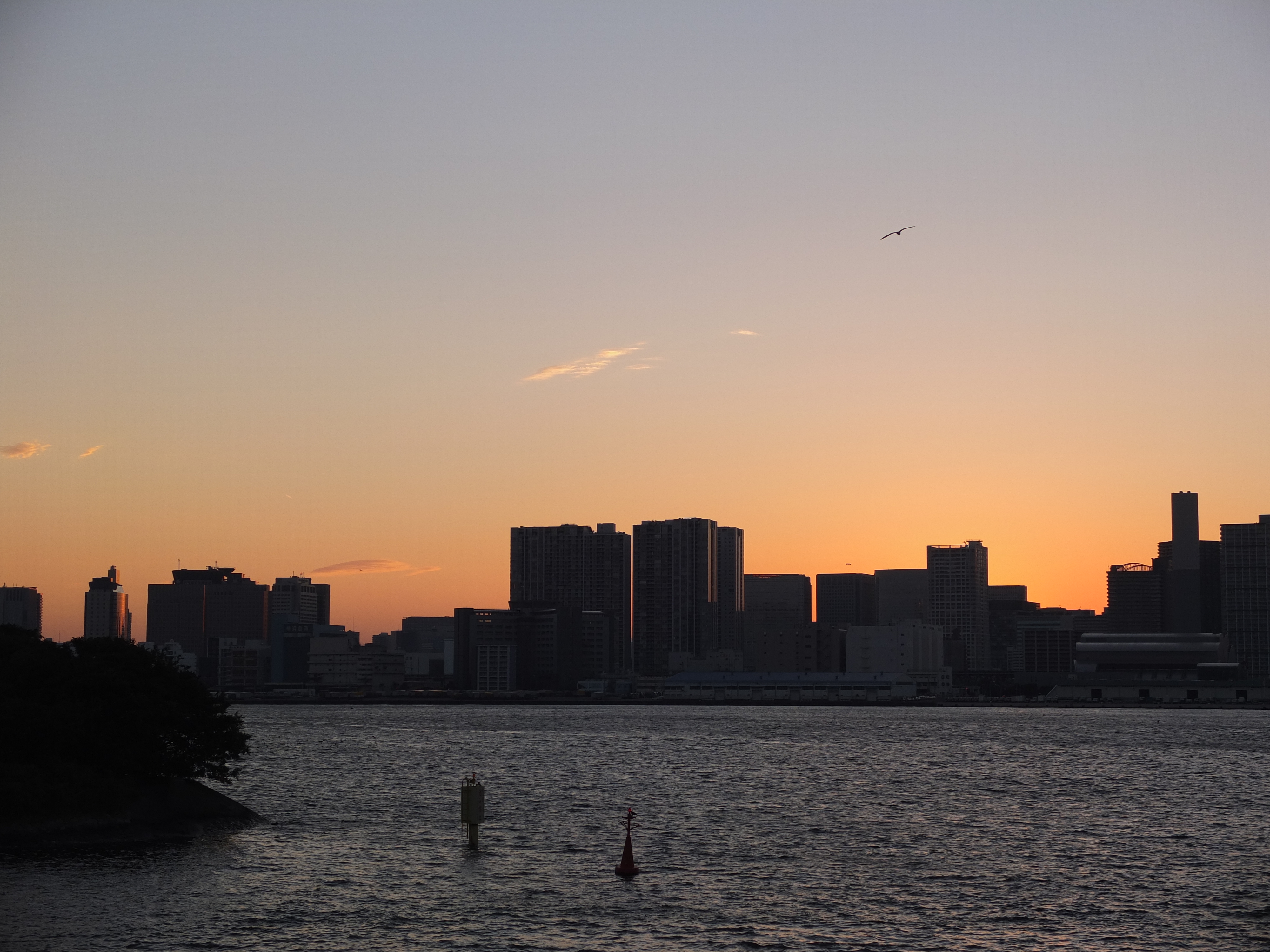 <b>FINEPIX X10 / 4.5MB / 4,000×3,000 / 1/750秒 / F3.6 / 0.0EV / ISO100 / WB:晴天 / 16mm</b>