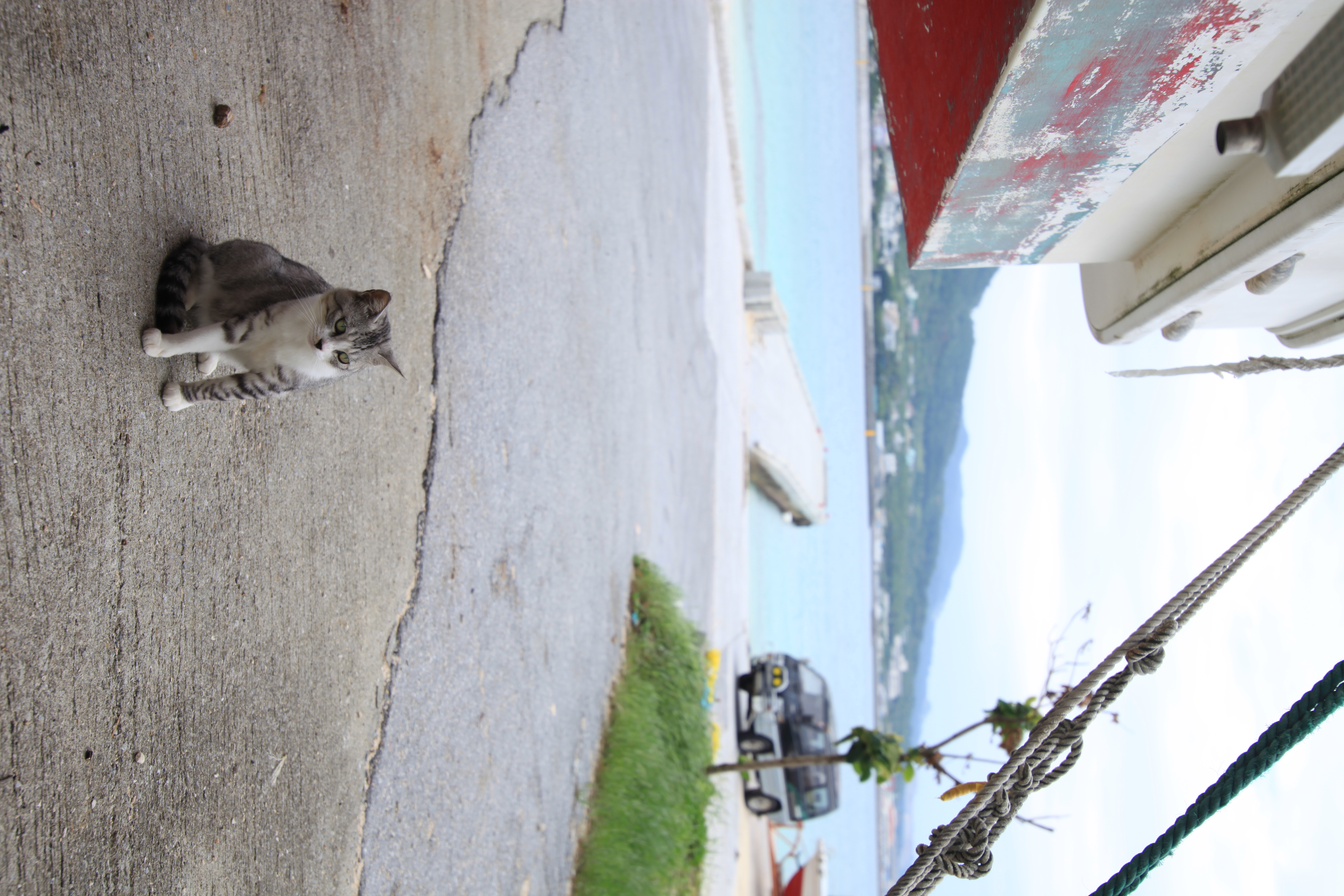 <b>EOS 5D Mark II / Tokina AT-X 17-35 F4 PRO FX / 約6.2MB / 3,744×5,616 / 1/400秒 / F4.5 / +0.3EV / ISO100 / WB:太陽光 / 35mm</b>