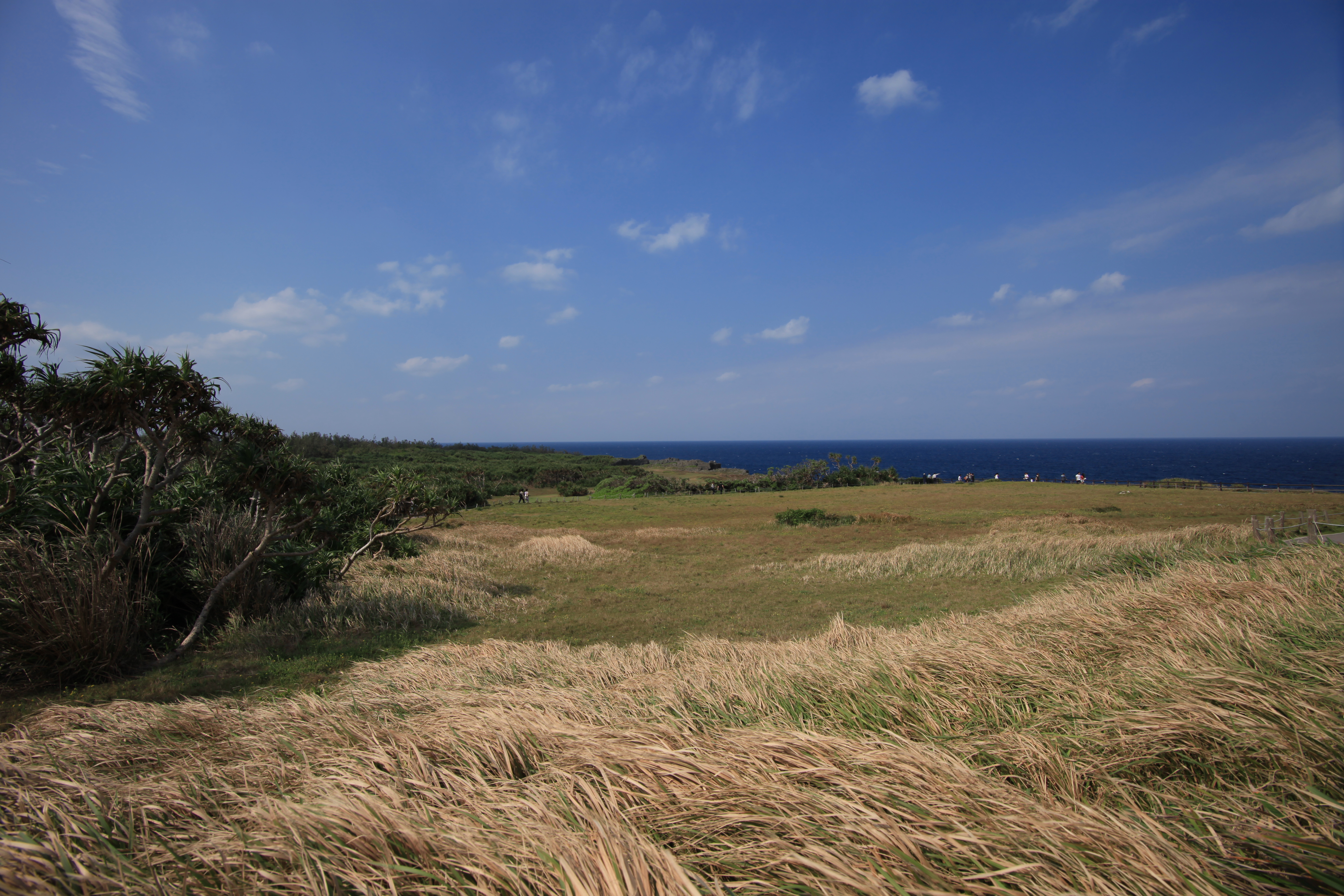 <b>EOS 5D Mark II / Tokina AT-X 17-35 F4 PRO FX / 約7.8MB / 5,616×3,744 / 1/400秒 / F9 / -0.3EV / ISO100 / WB:太陽光 / 17mm</b>