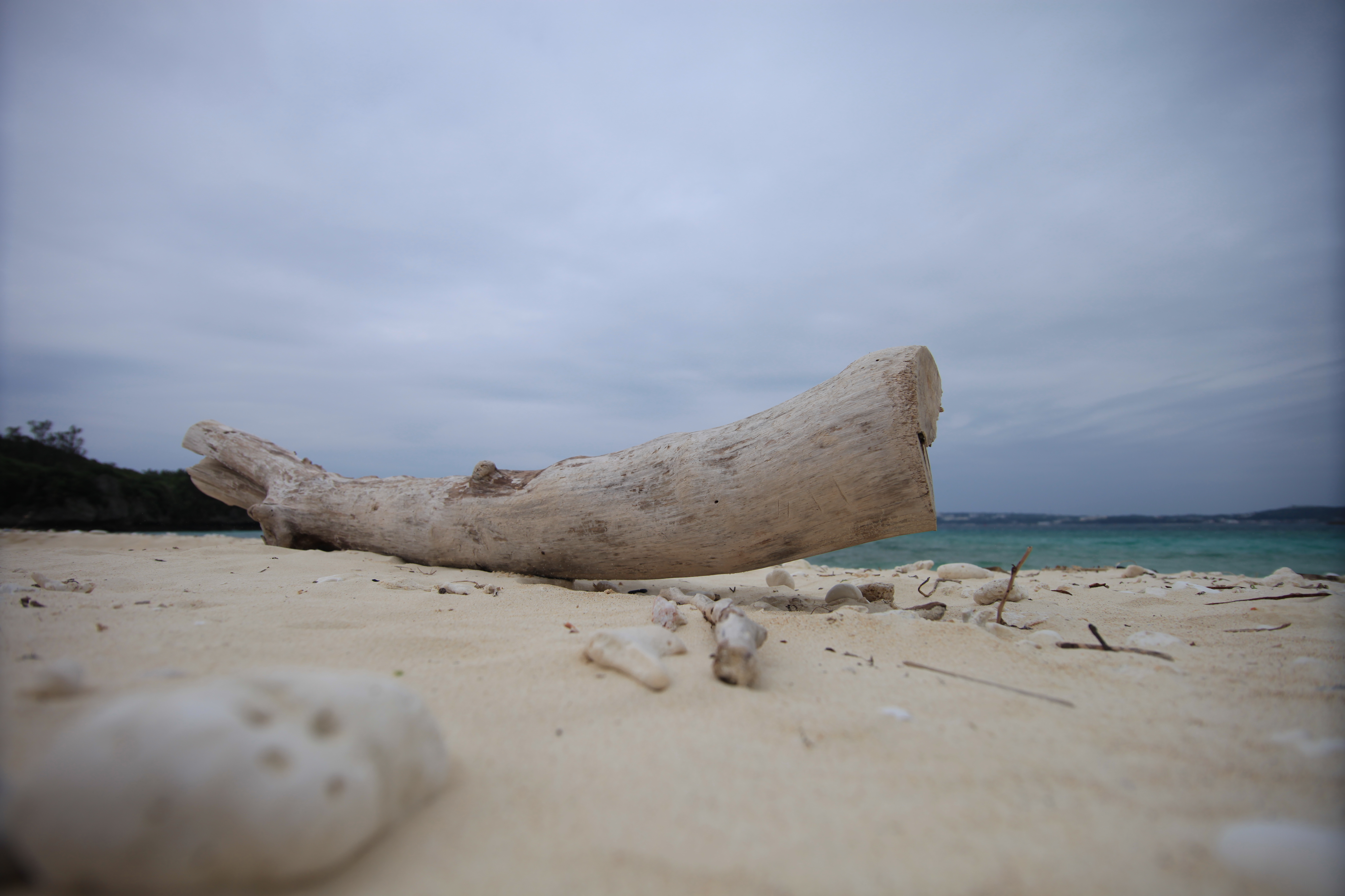 <b>EOS 5D Mark II / Tokina AT-X 17-35 F4 PRO FX / 約4.0MB / 5,616×3,744 / 1/2,000秒 / F4 / 0.0EV / ISO100 / WB:太陽光 / 17mm</b>