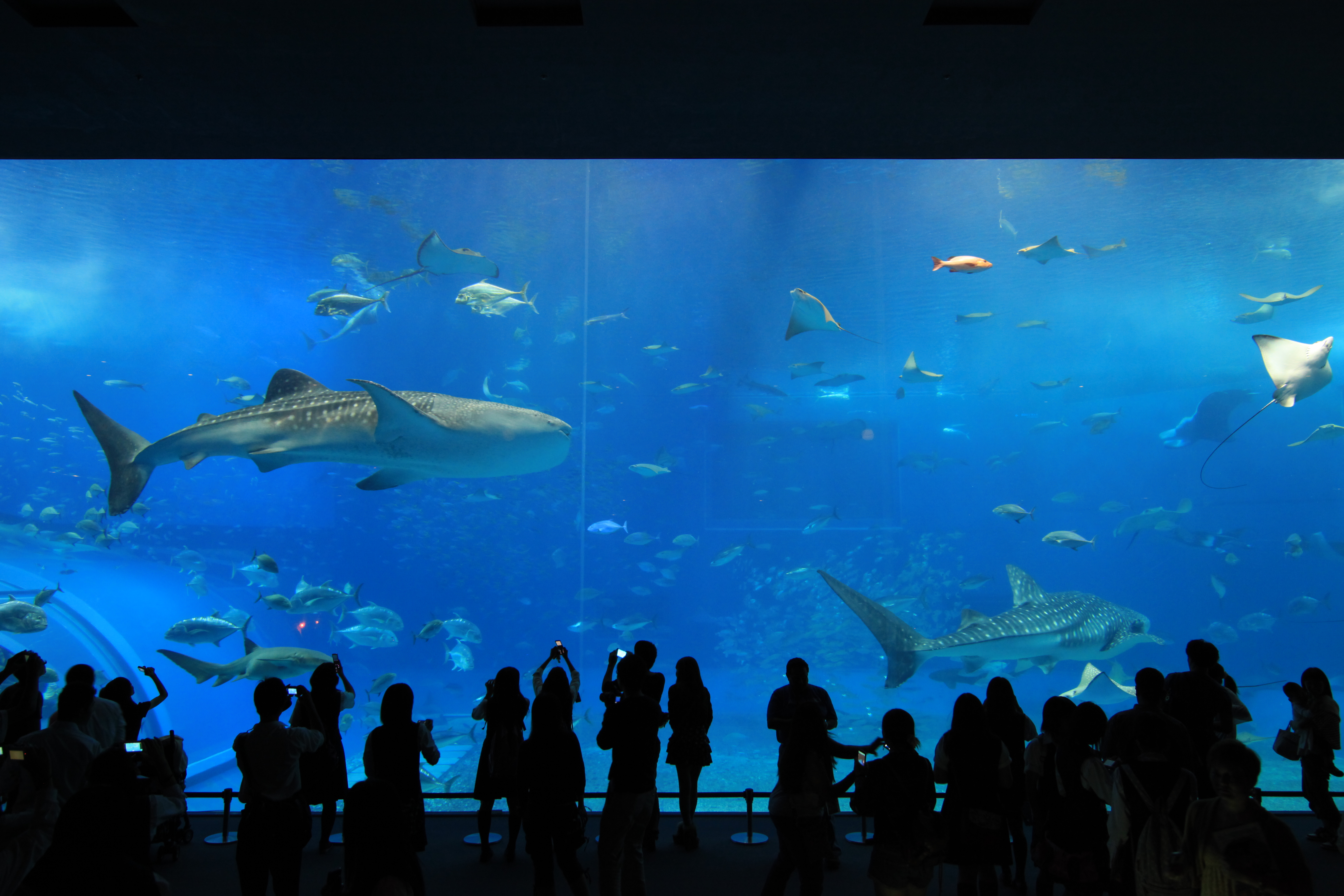 <b>EOS 5D Mark II / Tokina AT-X 17-35 F4 PRO FX / 約5.4MB / 5,616×3,744 / 1/40秒 / F4 / 0.0EV / ISO1600 / WB:日陰 / 20mm</b>