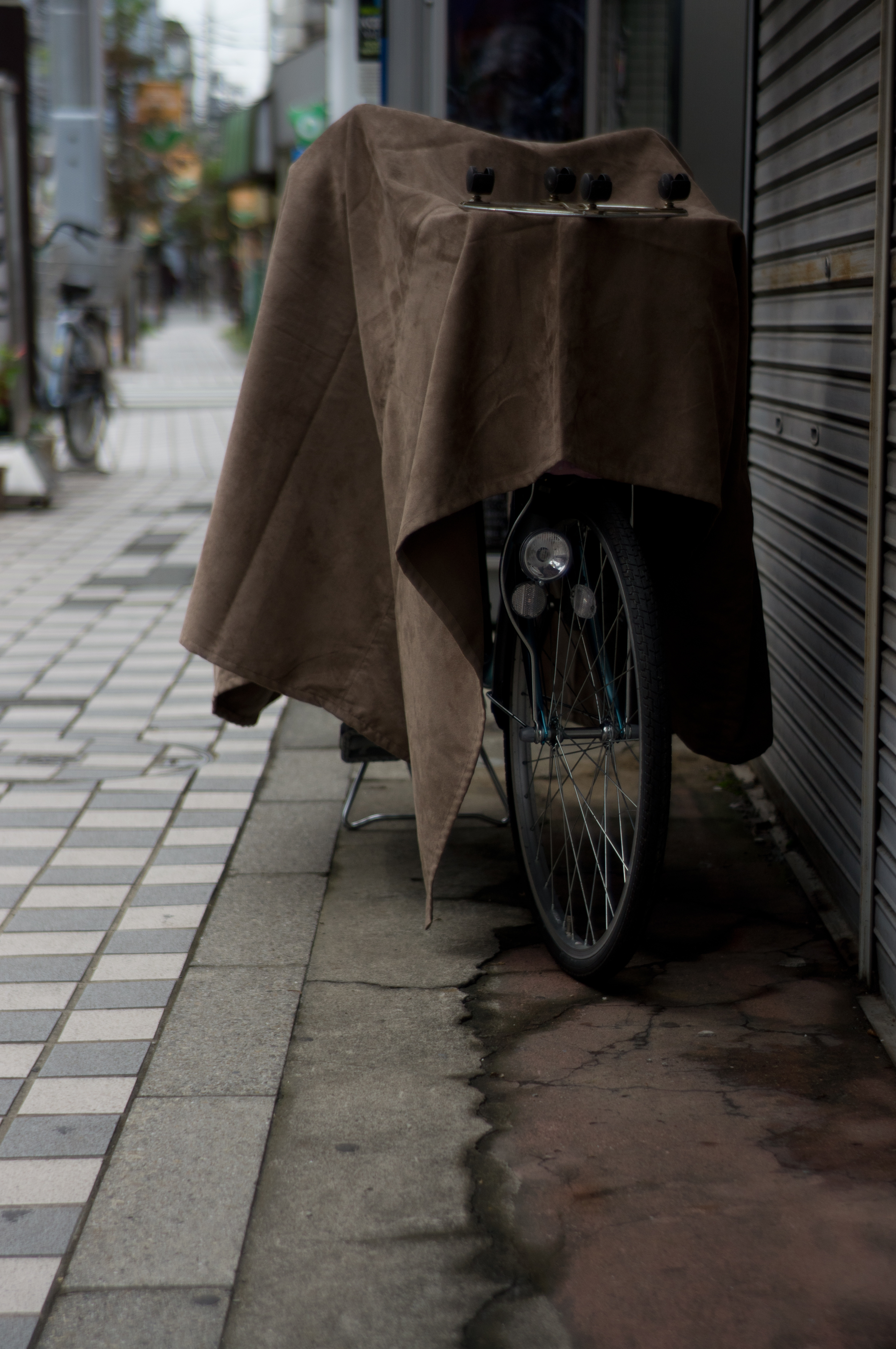 <b>NEX-5N / Sonnar 50mm F2 / 4,912×3,264 / 1/2,500秒 / F2 / -0.7EV / ISO200 / WB:オート / 50mm</b>