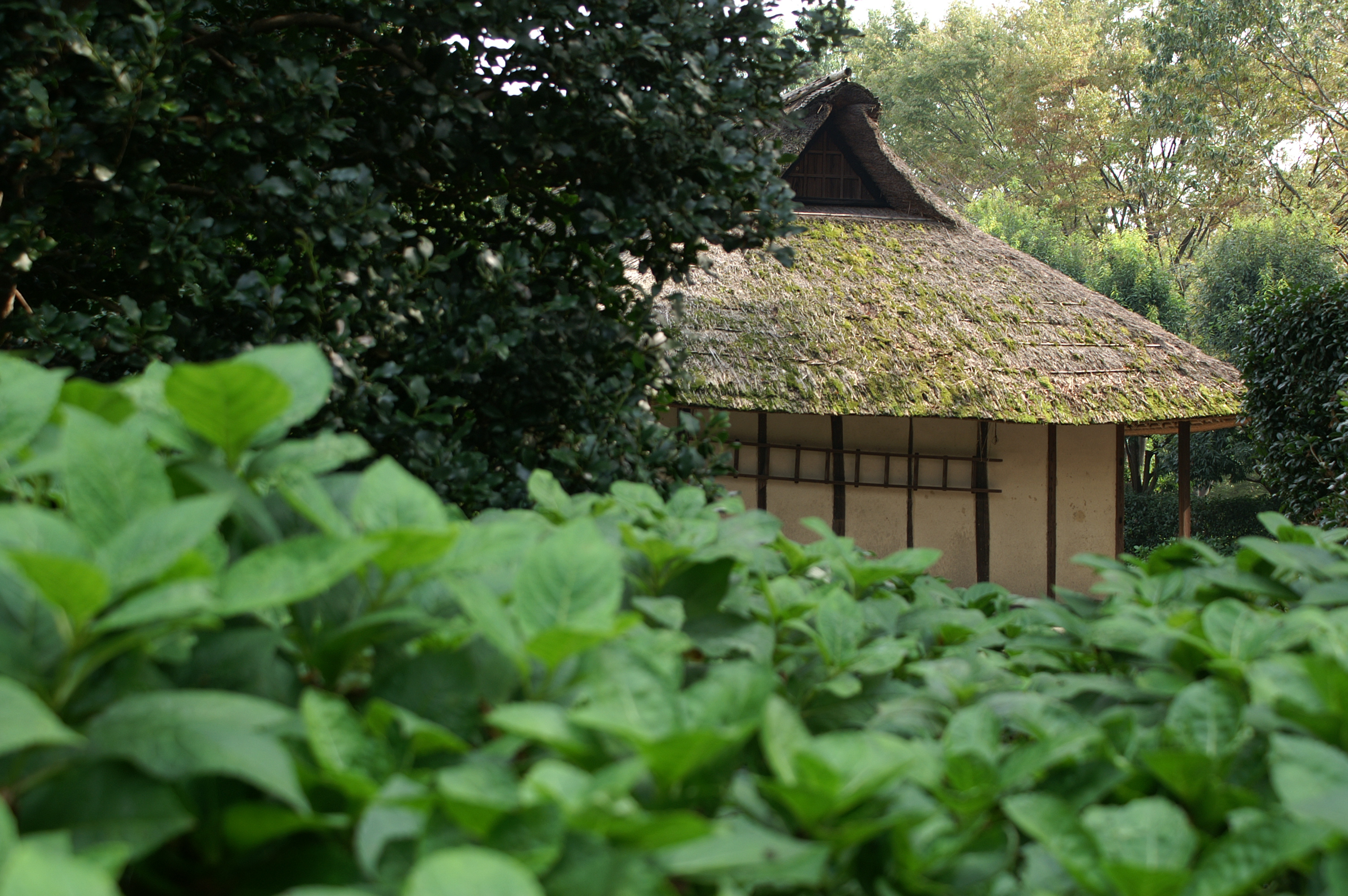 <b>α-7 DIGITAL / AF DT ZOOM 18-70mm F3.5-5.6（D） / 約2.7MB / 3,008×2,000 / 1/125秒 / F5.6 / -0.7EV / ISO100 / WB:オート / 40mm</b>