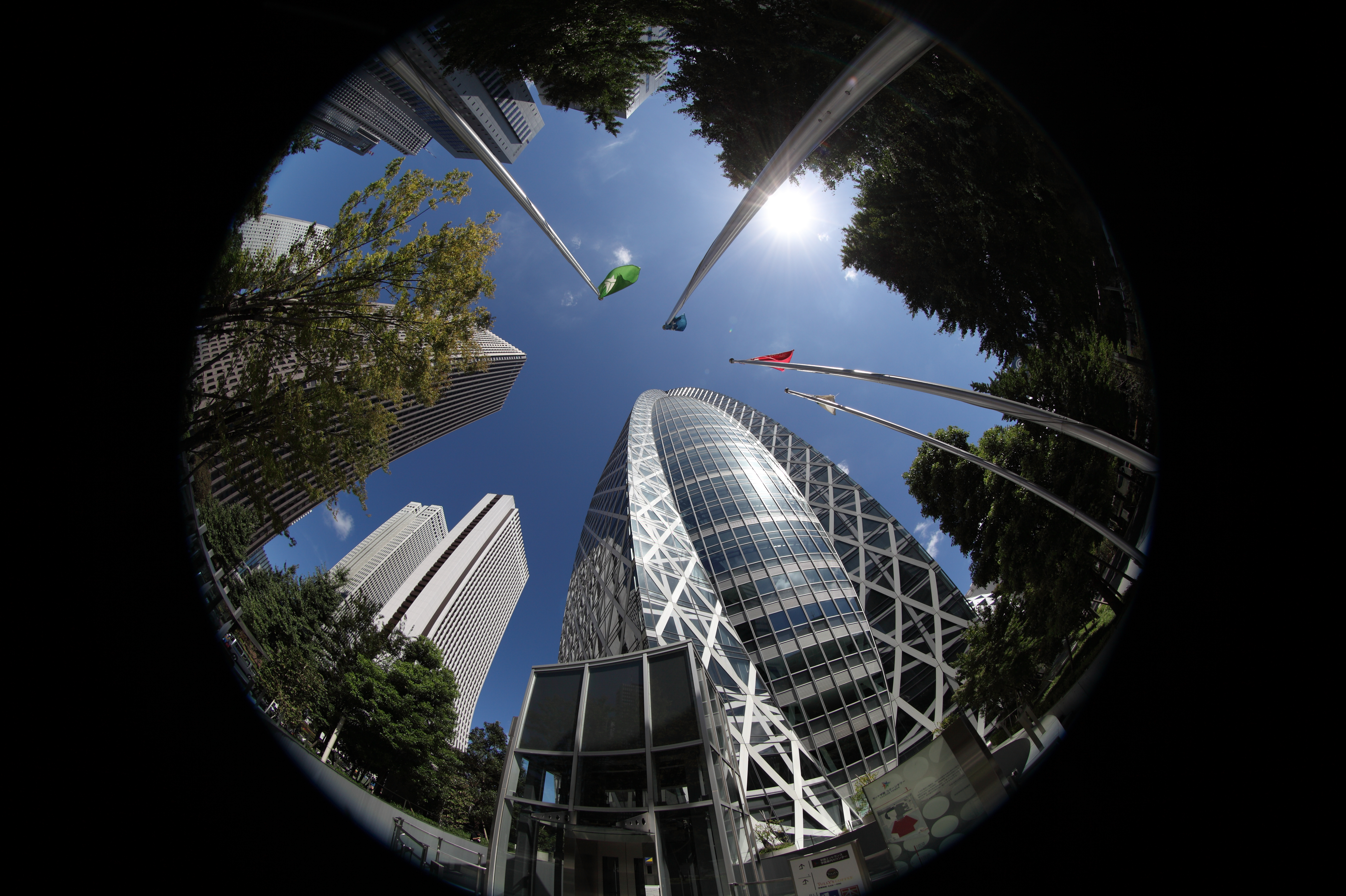 <b>[撮影時設定]で現像。約8.2MB / 5,248×3,498</b>