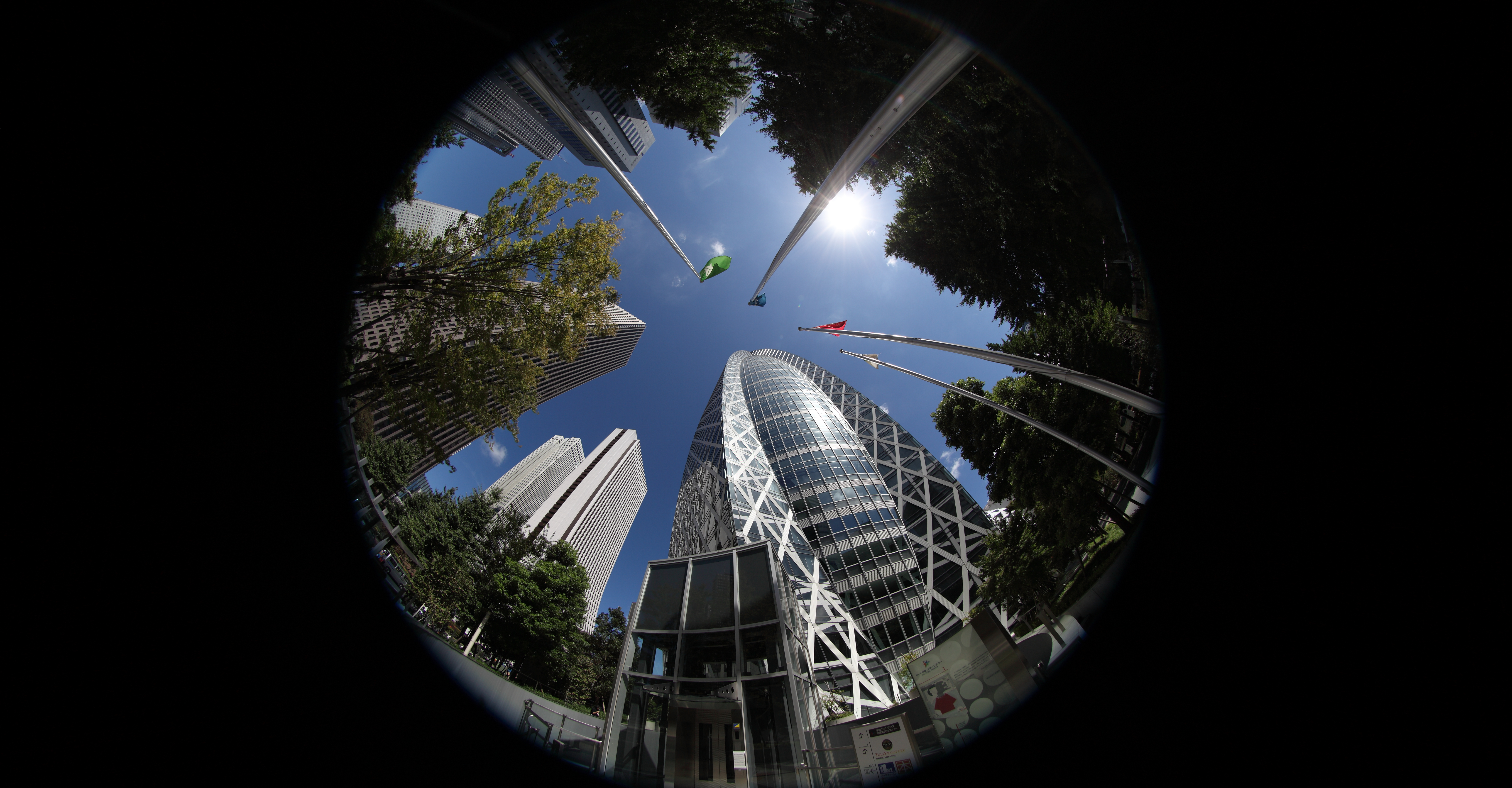 <b>[距離を重視]で現像。約8.5MB / 6,666×3,475</b>