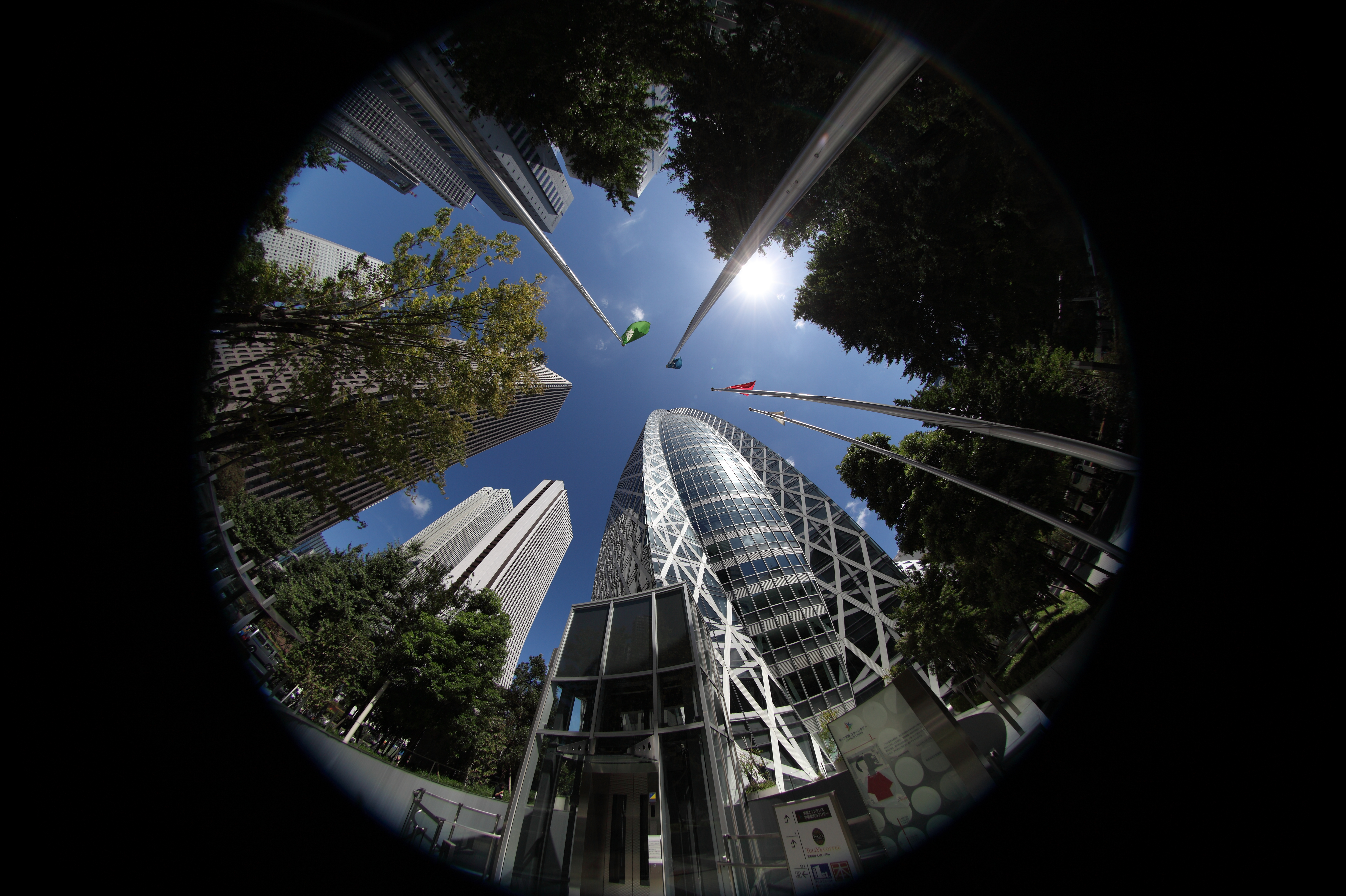 <b>[周辺部を重視]で現像。約9.4MB / 5,872×3,910</b>