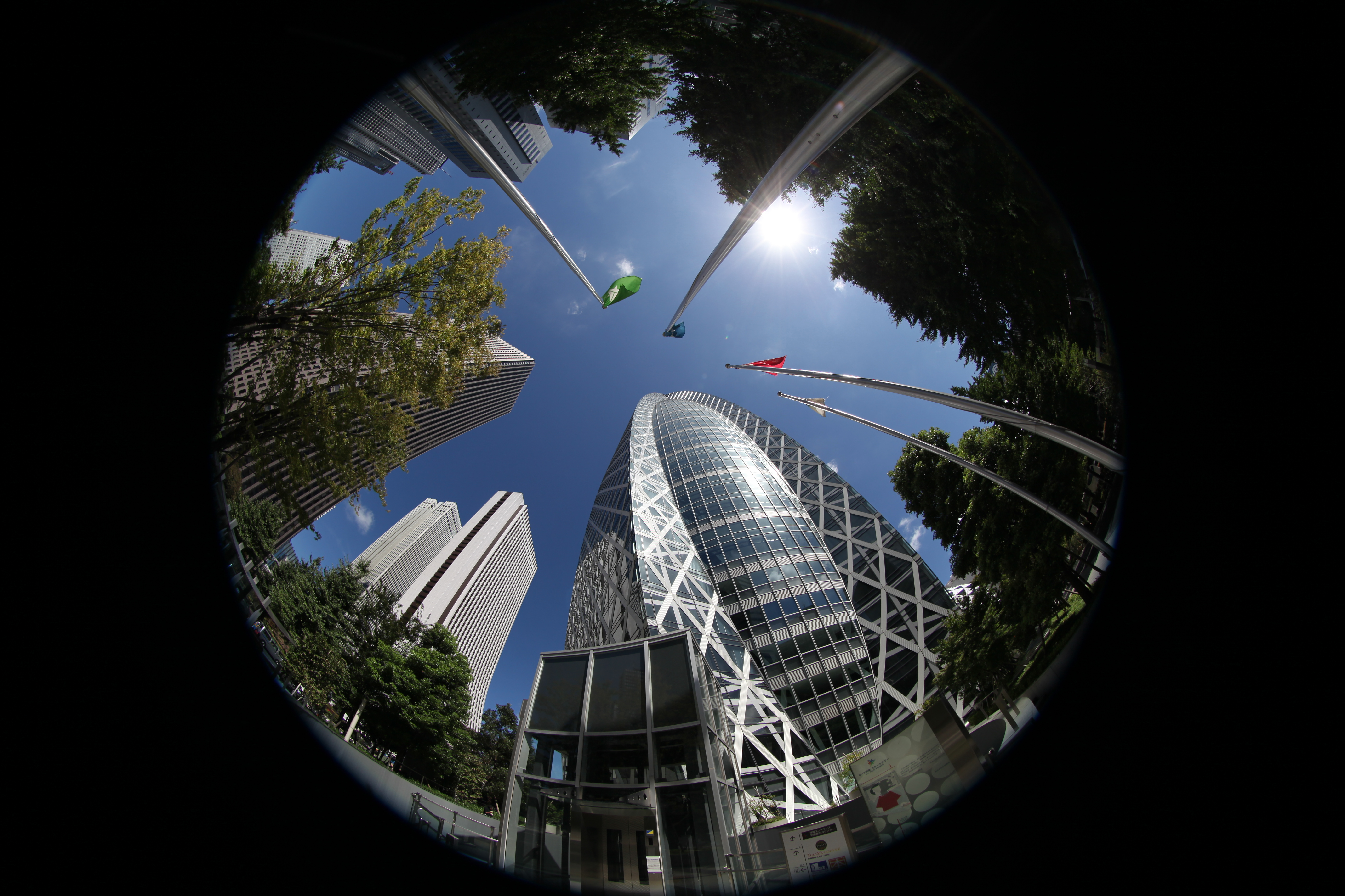 <b>参考：撮って出しのJPEG画像。EOS 5D Mark II / EF 8-15mm F4 L Fisheye USM / 約5.7MB / 5,616×3,744 / 1/500秒 / F8 / -0.3EV / ISO100 / 絞り優先AE / WB：オート / 8mm</b>