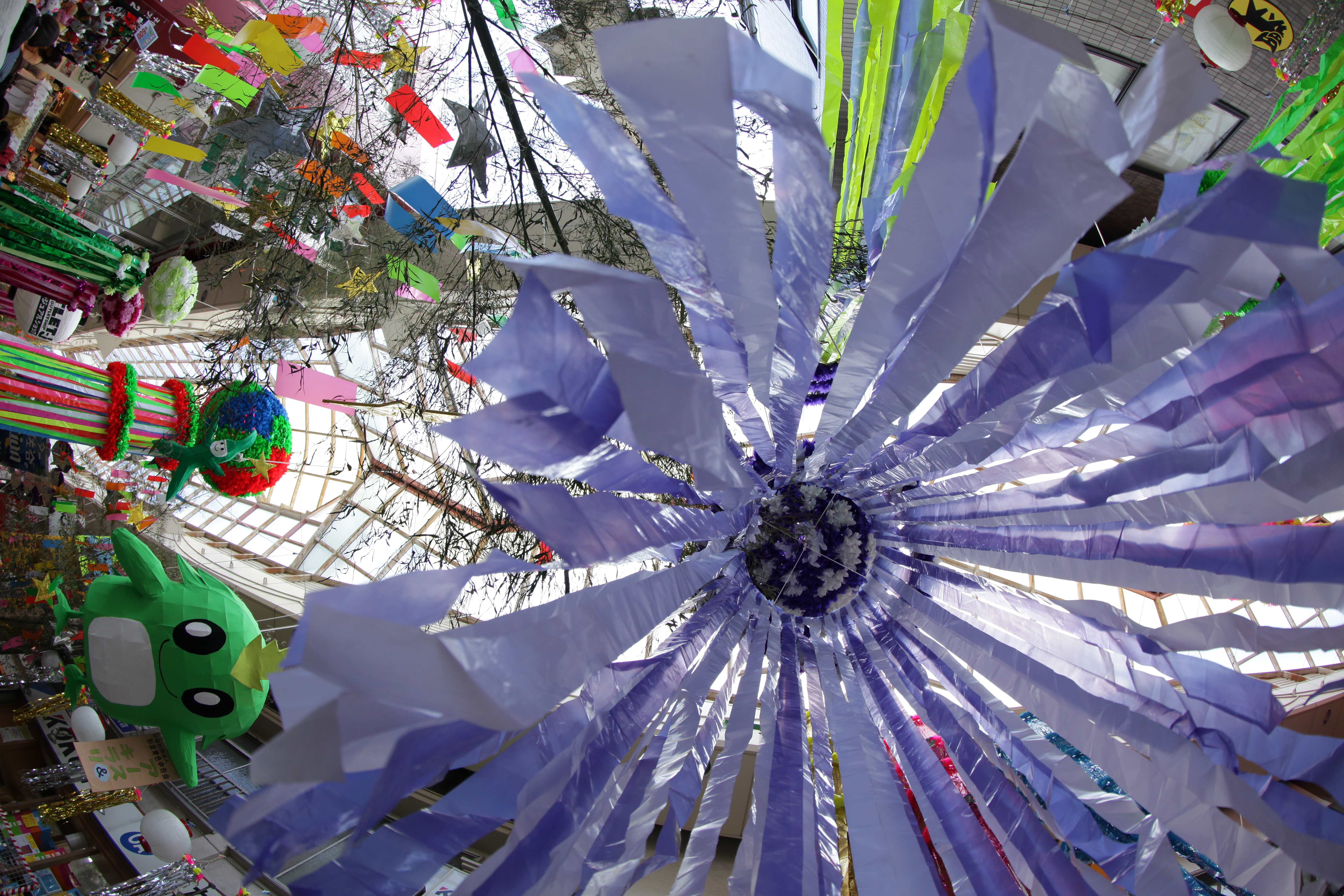 <b>EOS 5D Mark II / EF 8-15mm F4 L Fisheye USM / 約9.3MB / 3,744×5,616 / 1/125秒 / F5.6 / 0EV / ISO400 / マニュアル露出 / WB：5,000K / 15mm</b>