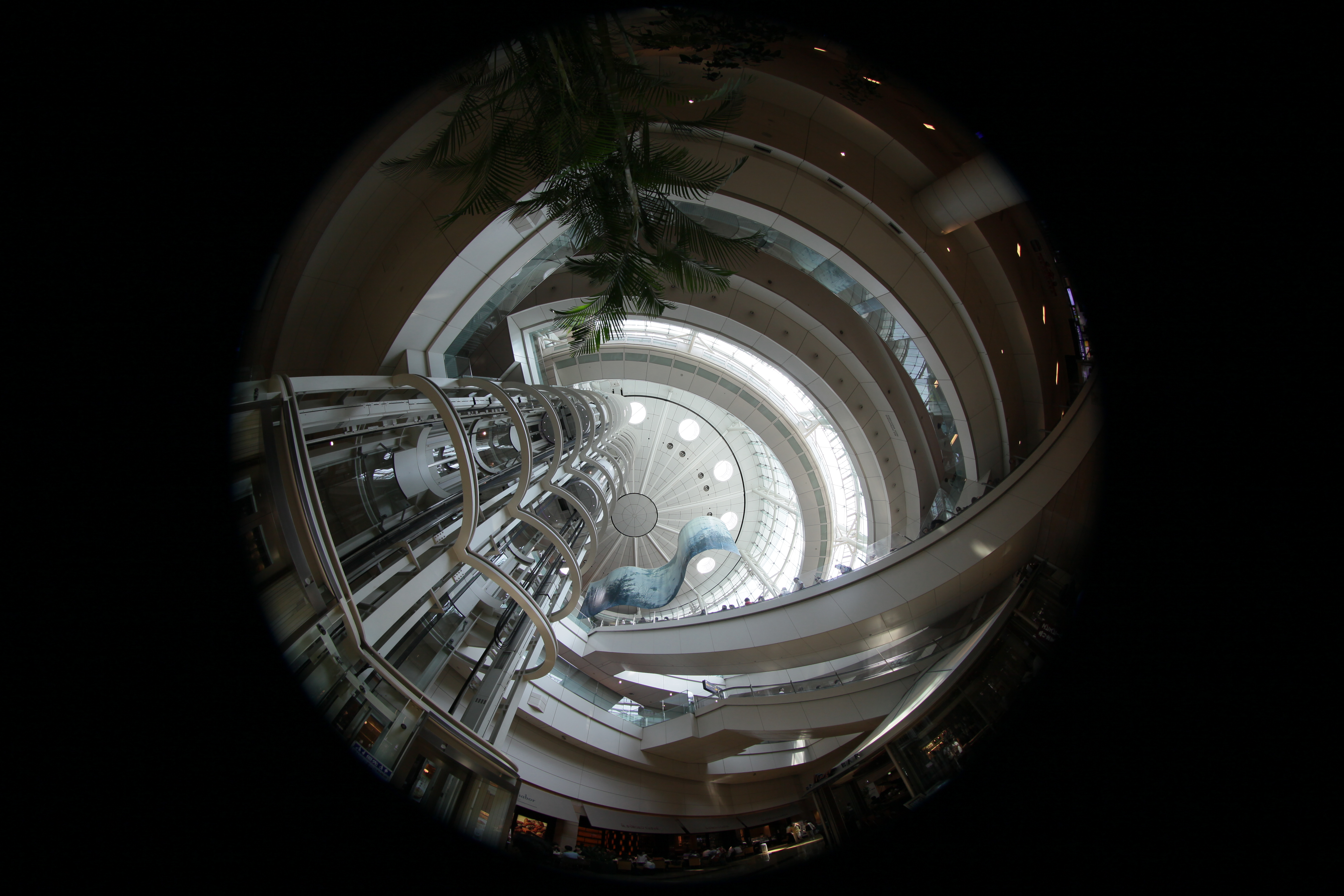 <b>EOS 5D Mark II / EF 8-15mm F4 L Fisheye USM / 約4.9MB / 5,616×3,744 / 1/100秒 / F5.6 / -0.3EV / ISO200 / 絞り優先AE / WB：オート / 8mm</b>