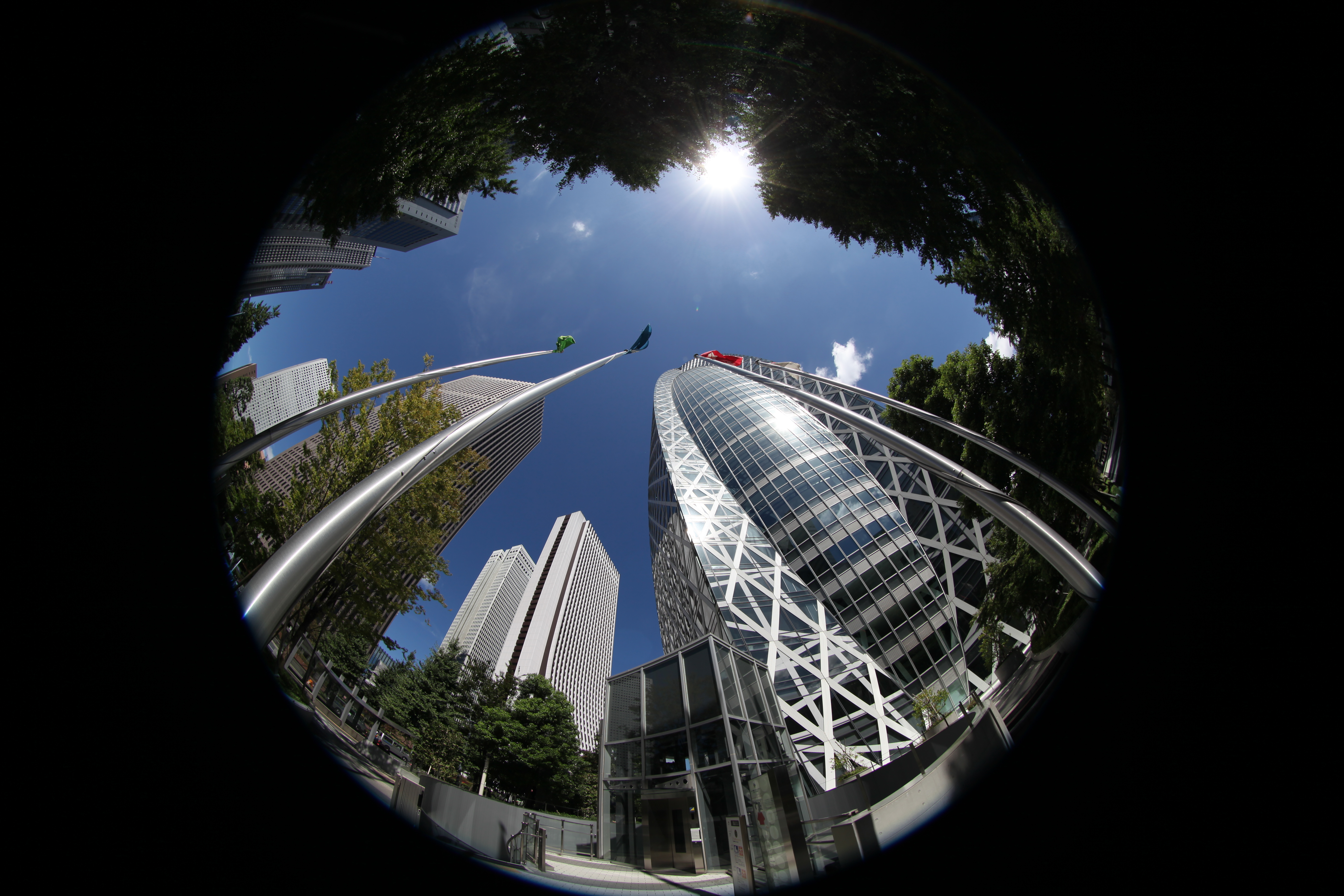 <b>EOS 5D Mark II / EF 8-15mm F4 L Fisheye USM / 約5.6MB / 5,616×3,744 / 1/500秒 / F8 / -0.3EV / ISO100 / 絞り優先AE / WB：オート / 8mm</b>